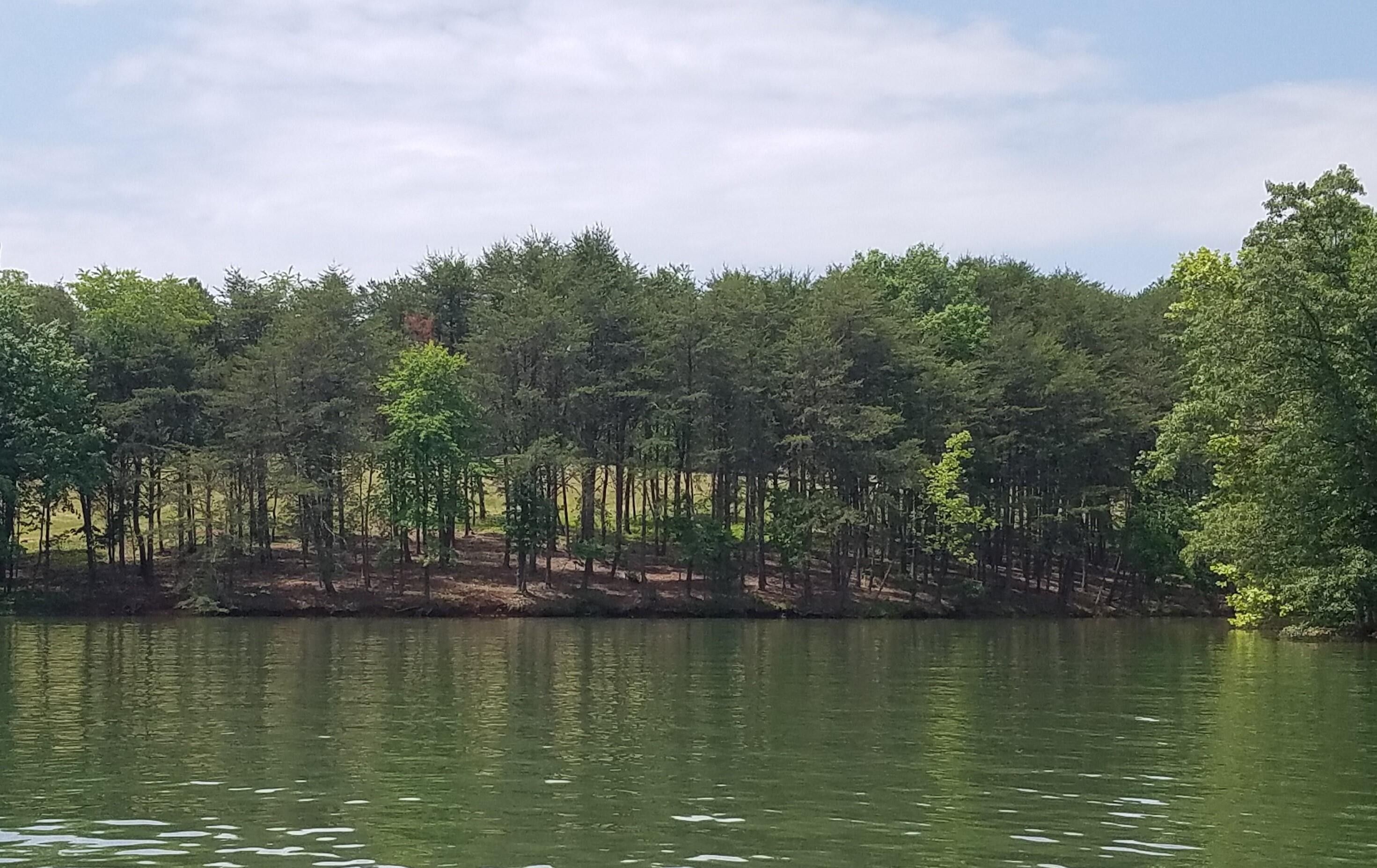 1 acres in Franklin County, Virginia