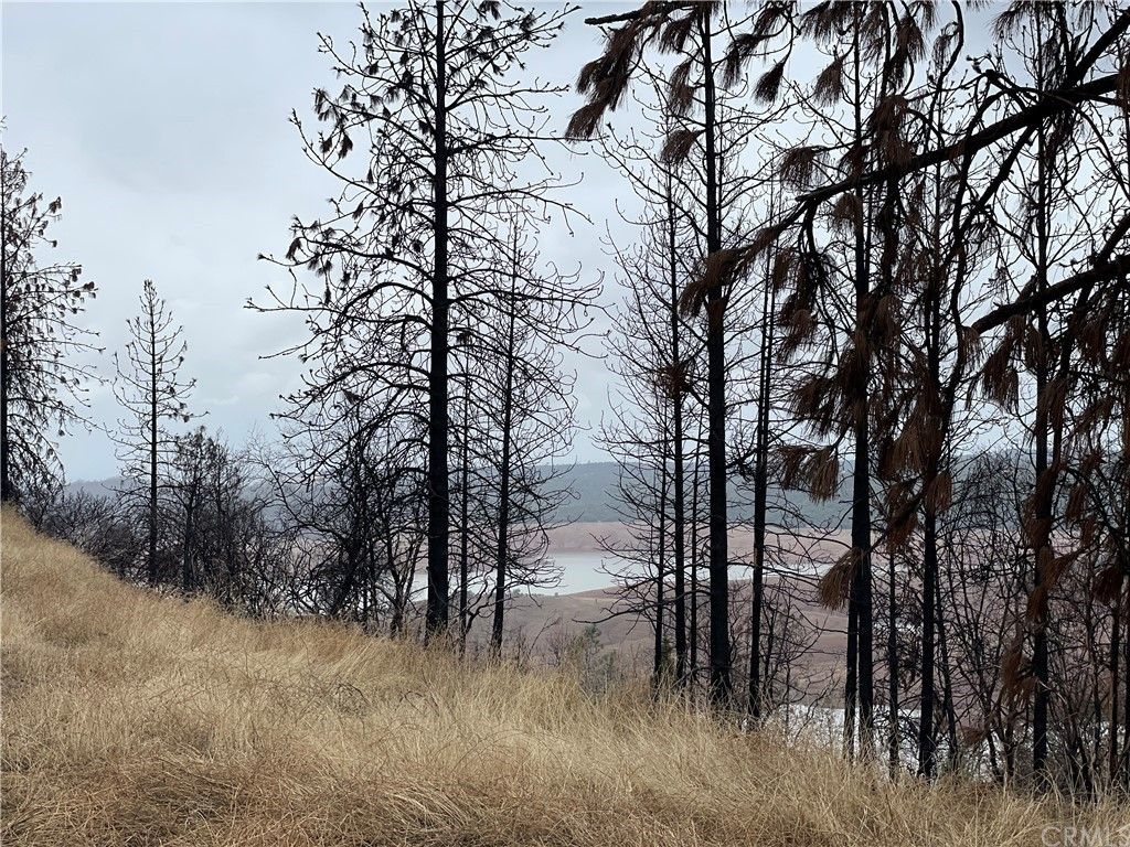 5 acres in Butte County, California