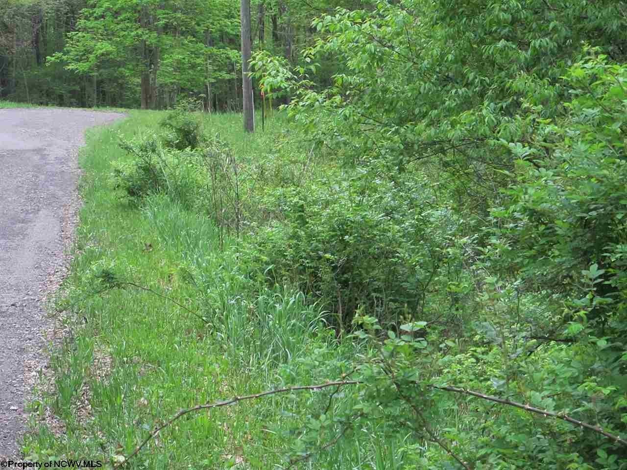 5 acres in Preston County, West Virginia