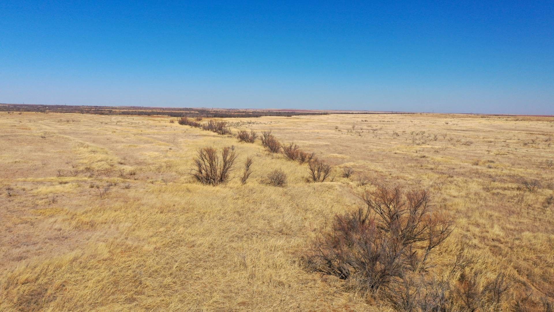 335 acres in Cottle County, Texas