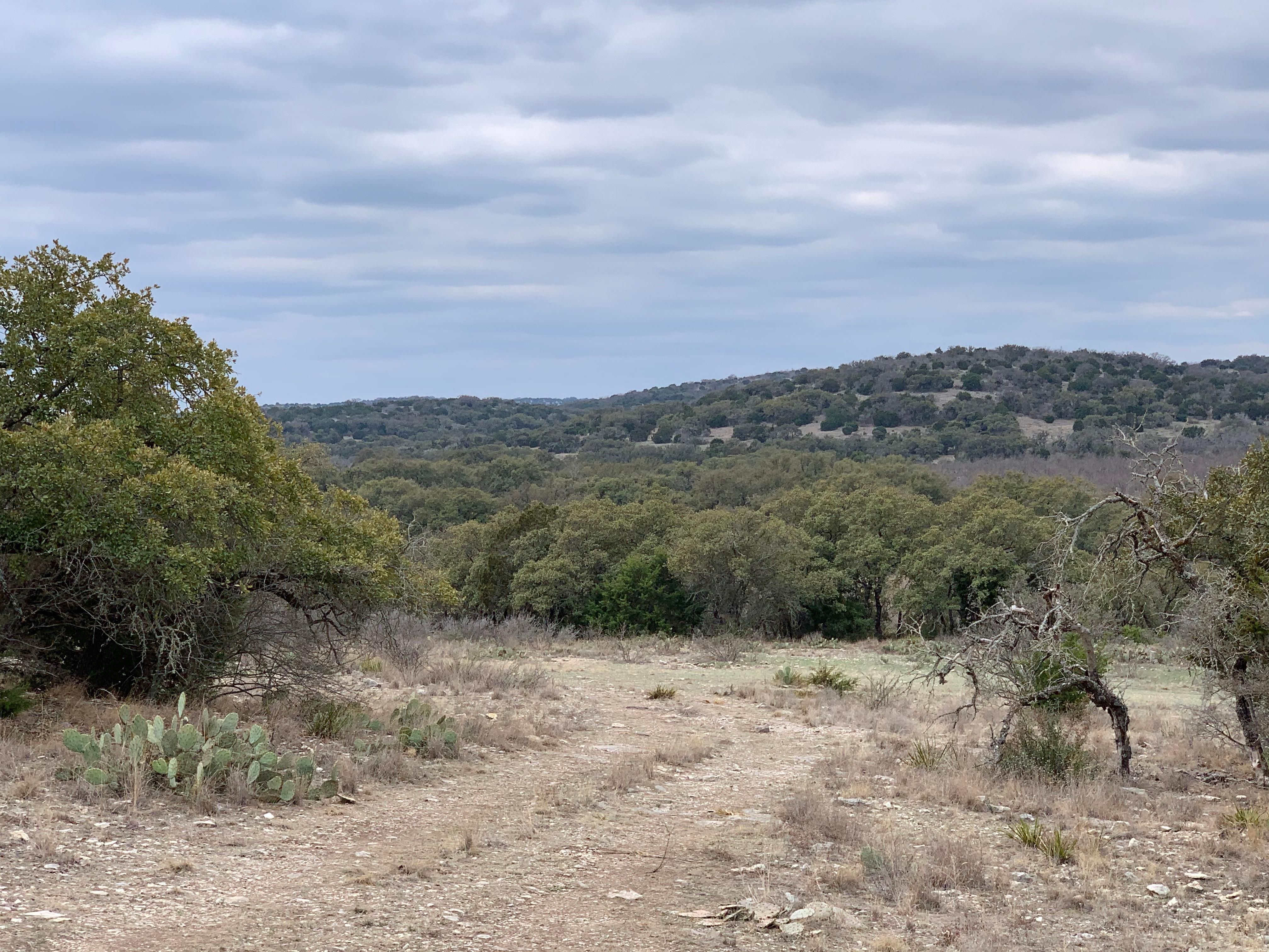 40.05 acres in Edwards County, Texas