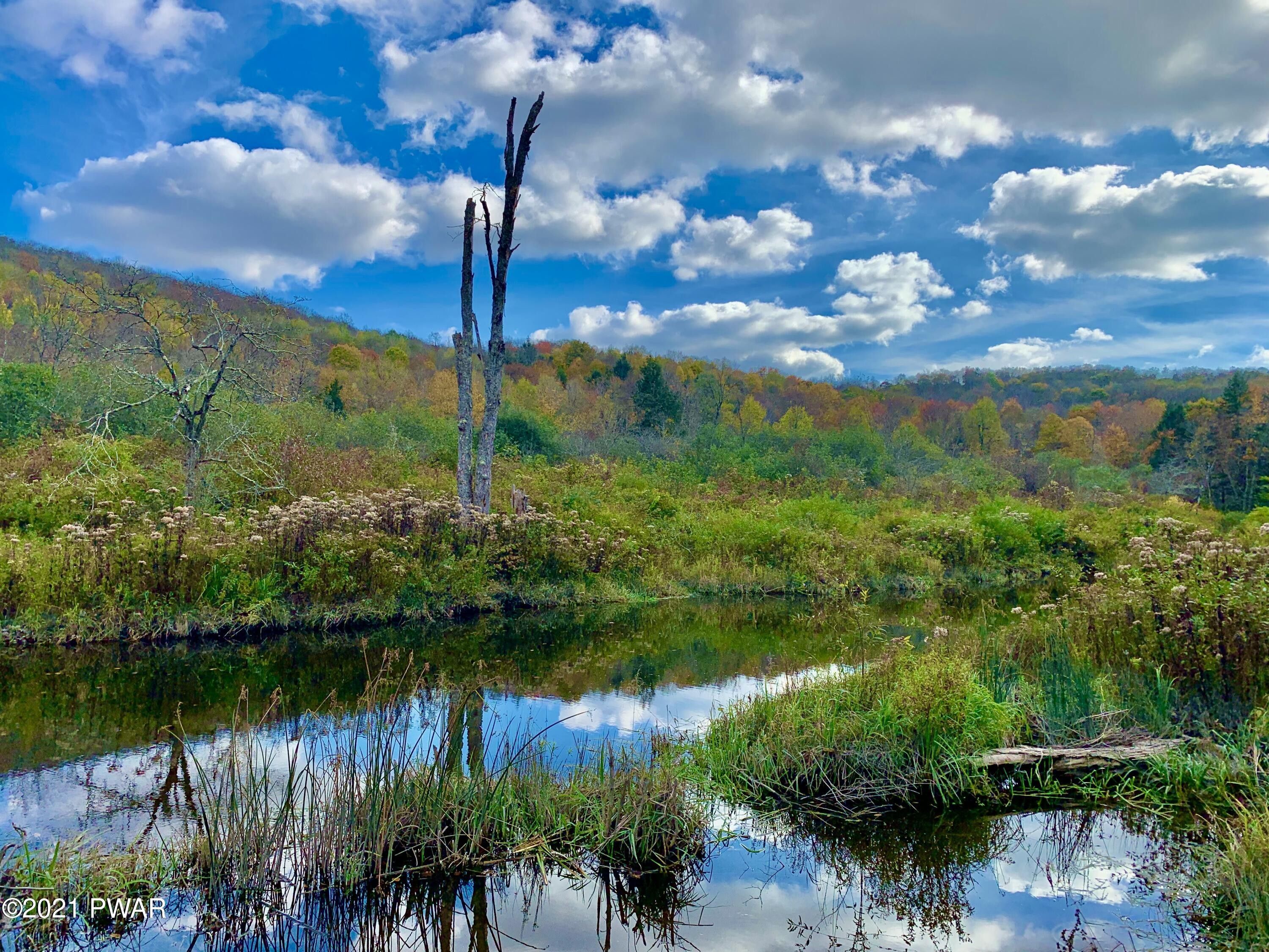 59.04 acres in Wayne County, Pennsylvania