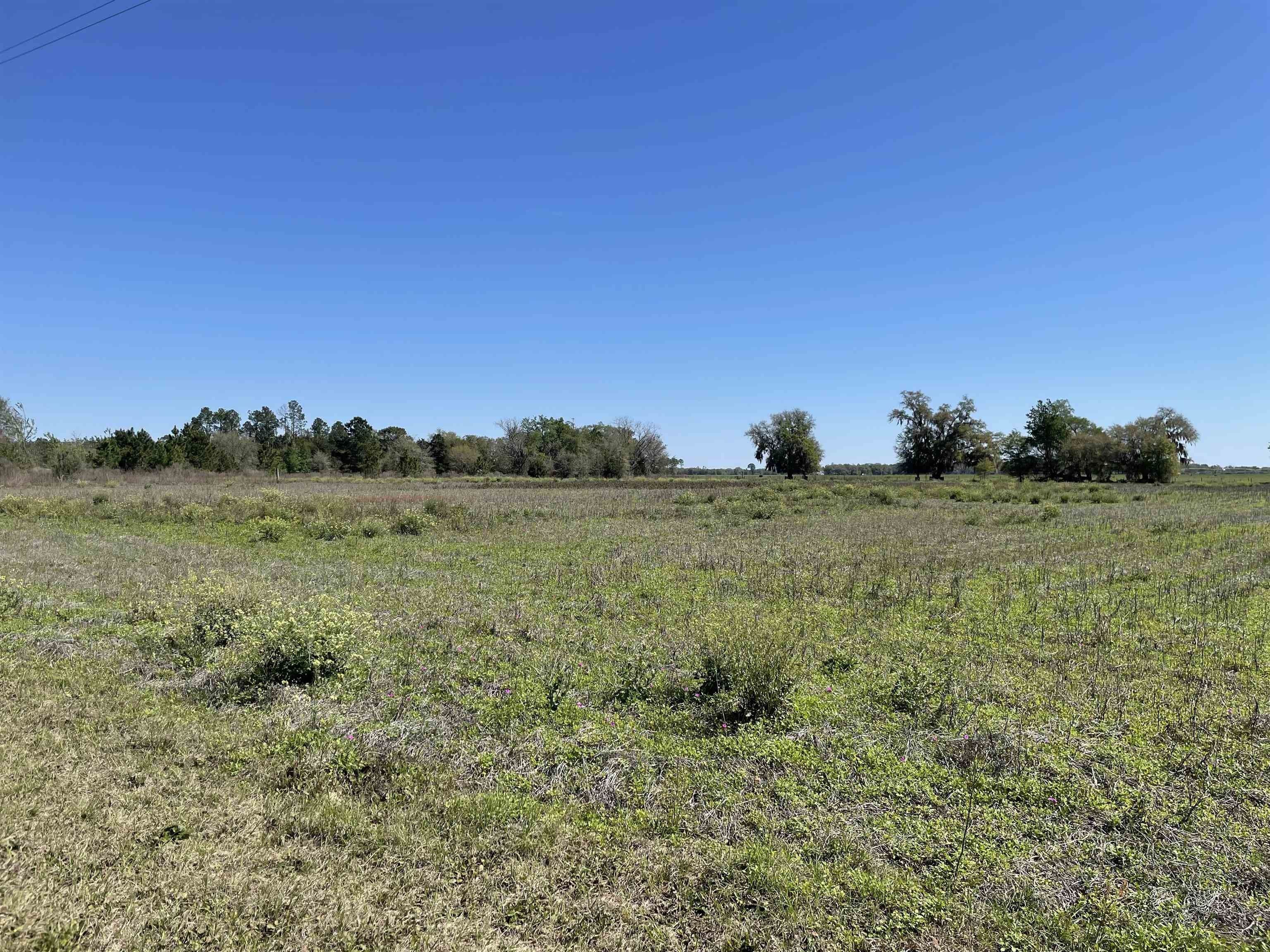 8 acres in Madison County, Florida