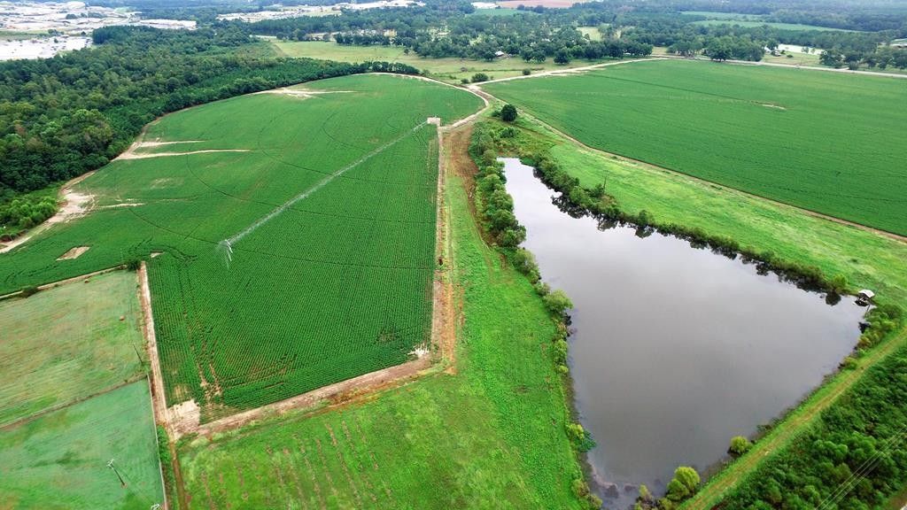 178 acres in Ben Hill County,