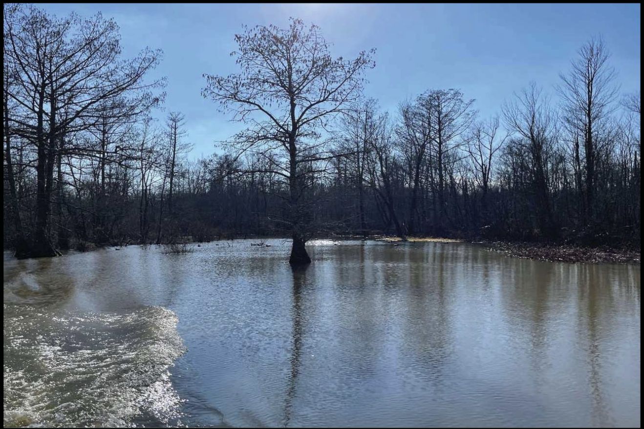 287 acres in Gibson County, Tennessee