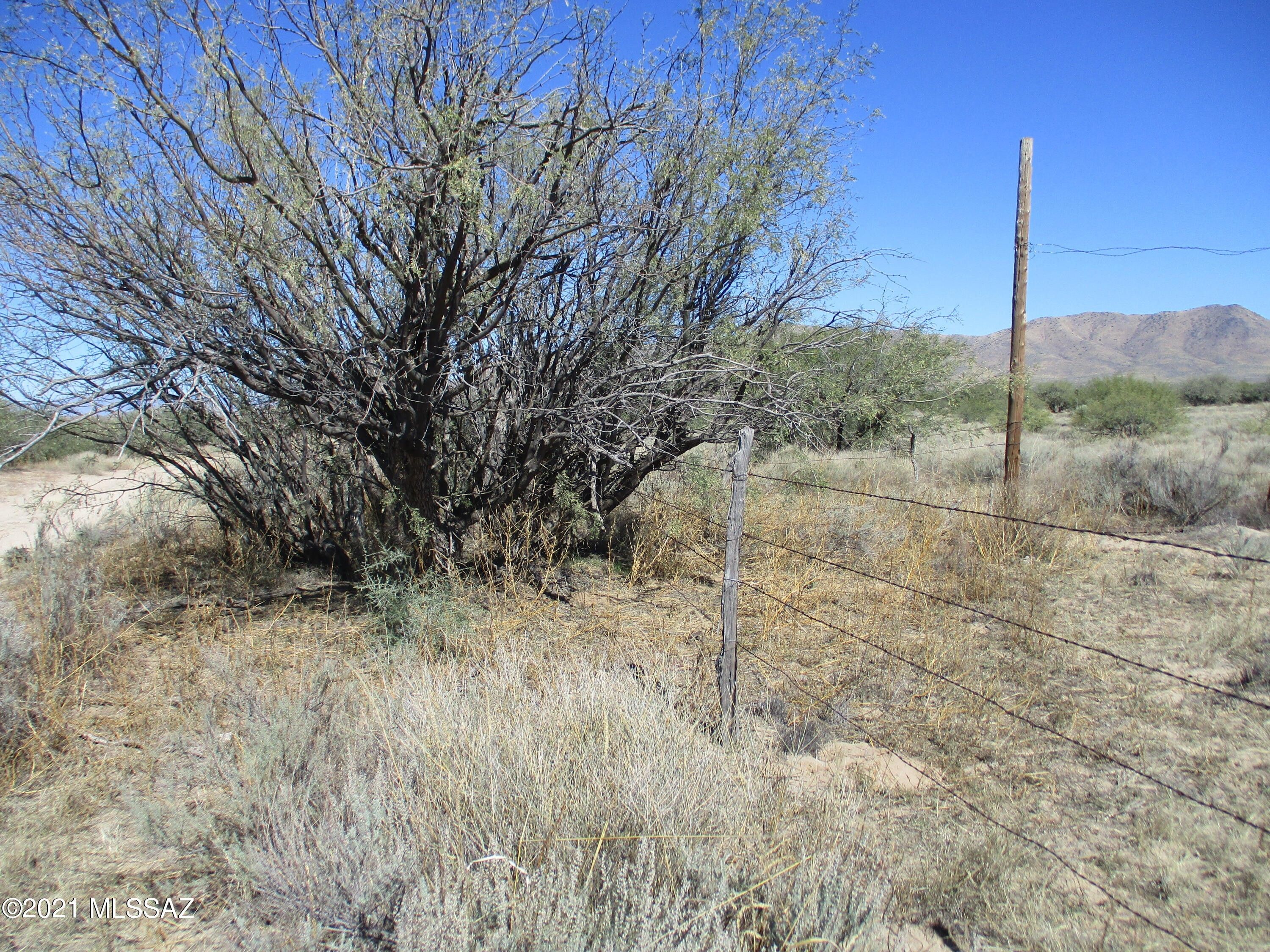 20 acres in Cochise County, Arizona