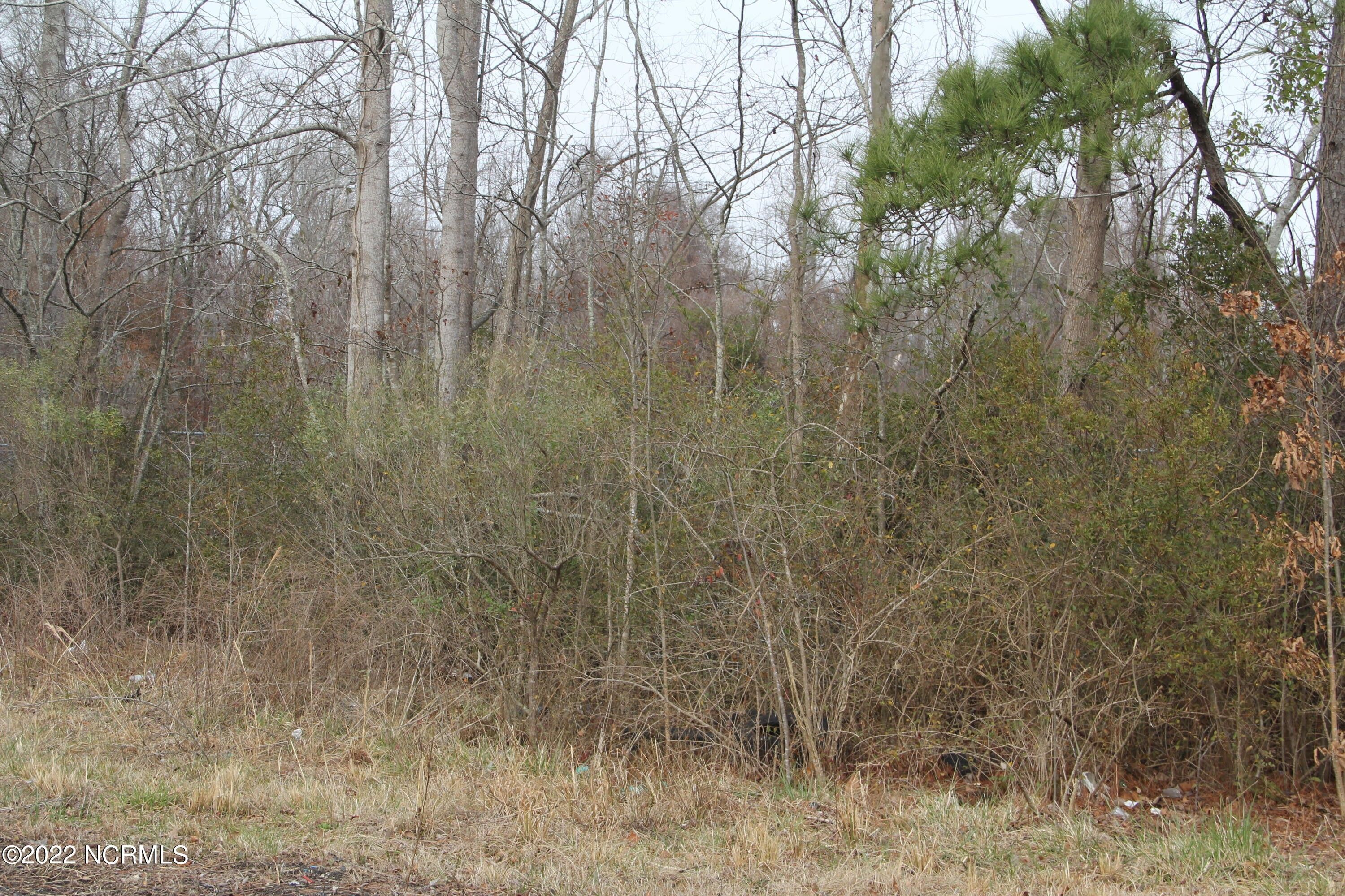 2 acres in Pender County, North Carolina