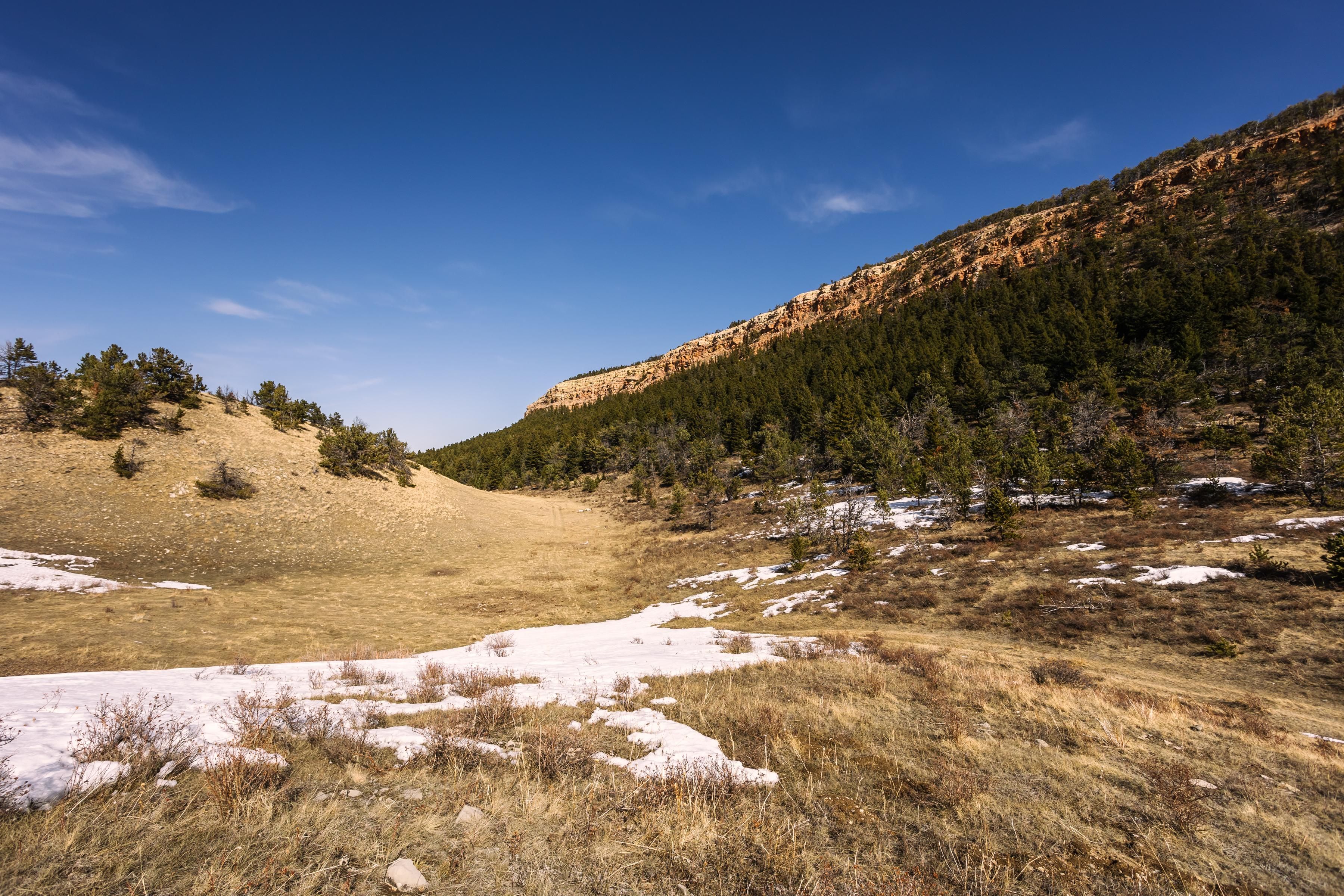 1,627 acres in Judith Basin County, Montana
