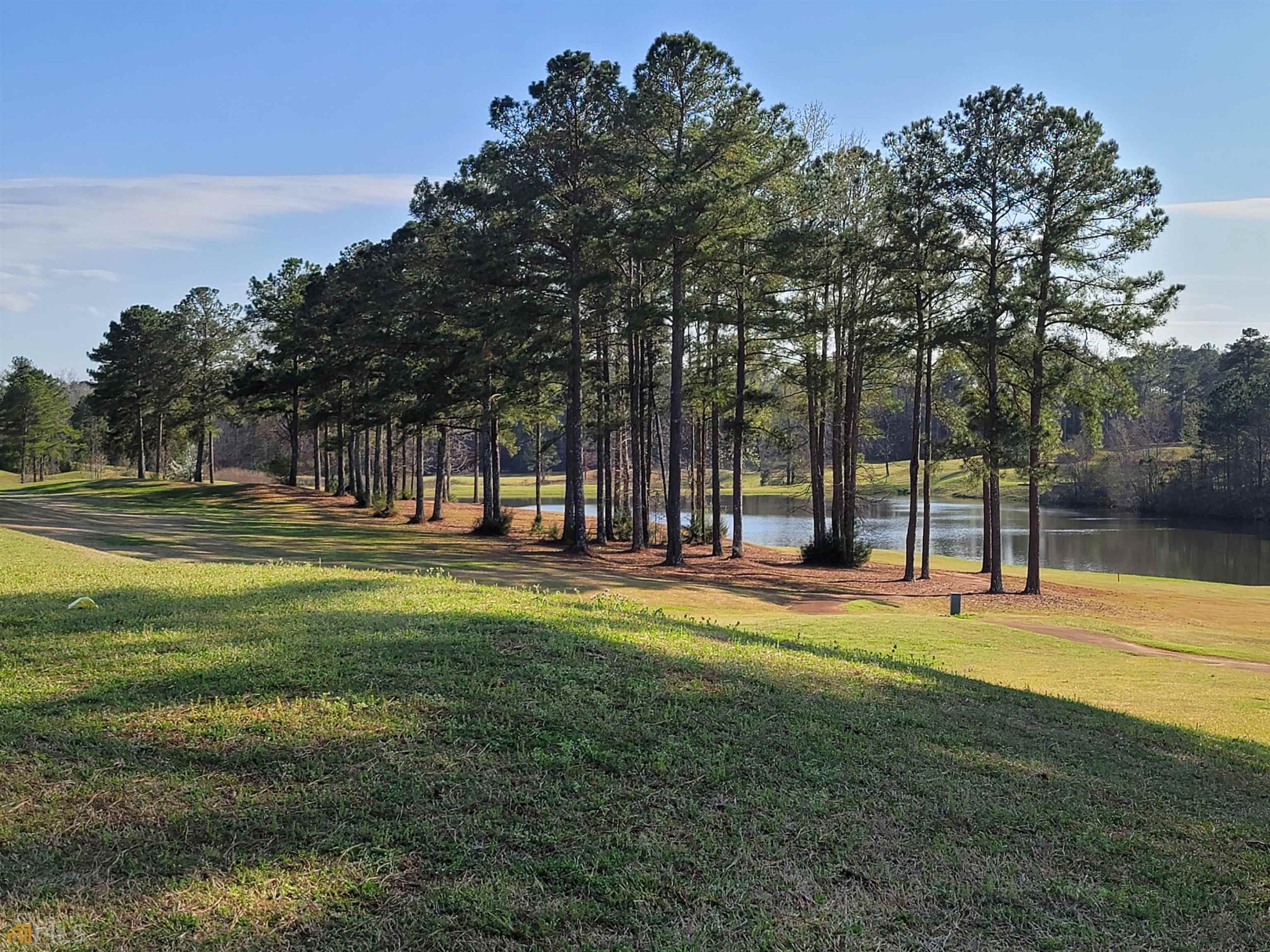 155 acres in Upson County,