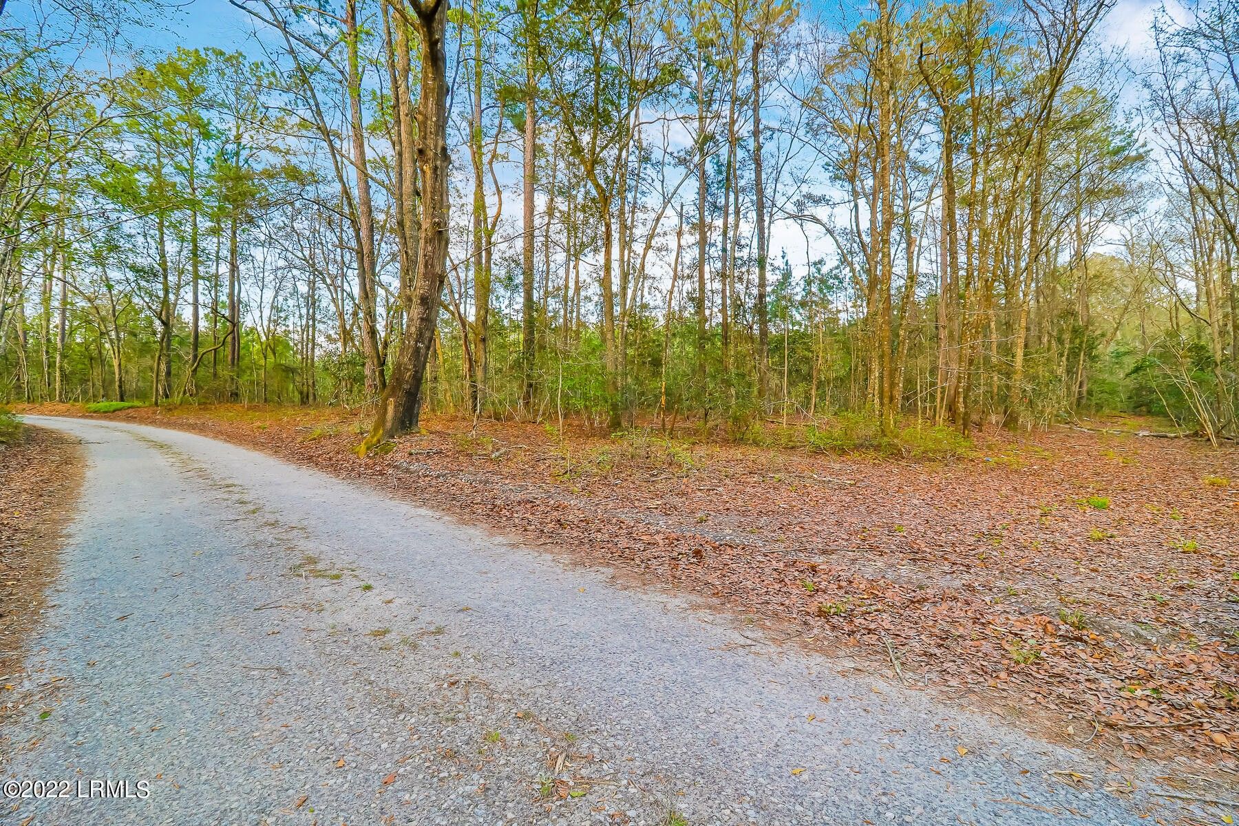 21.47 acres in Jasper County, South Carolina