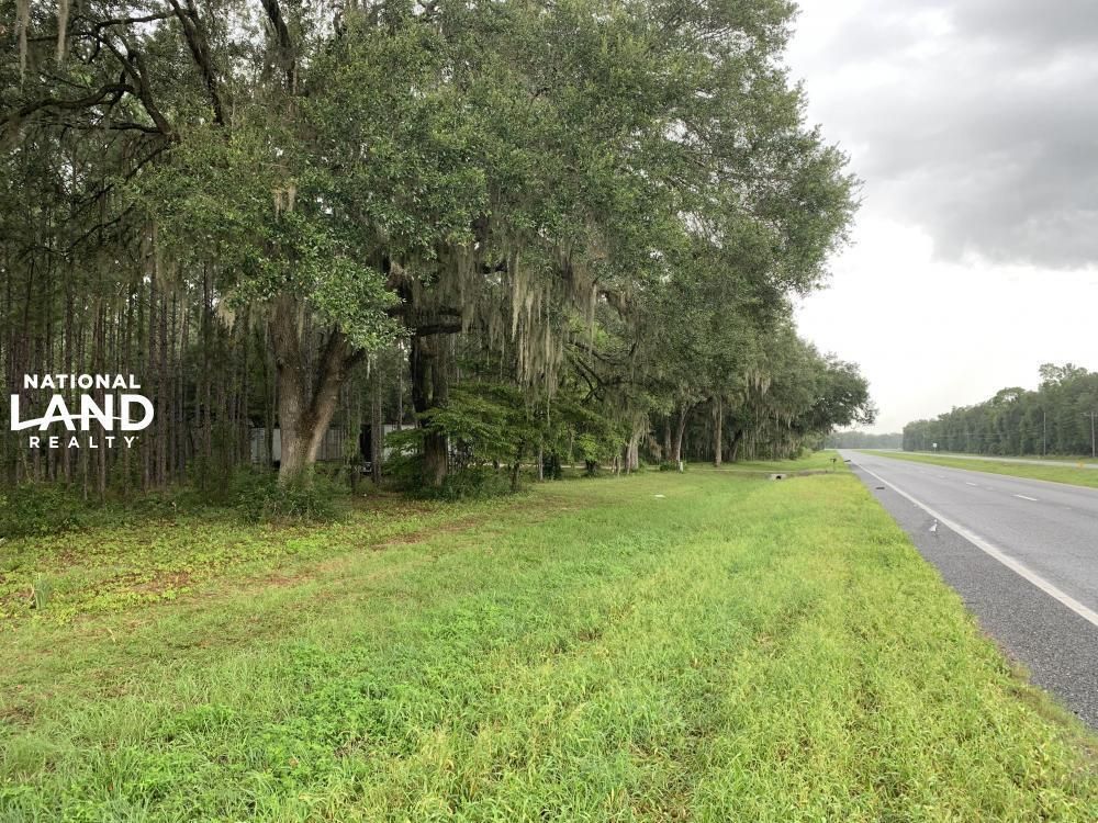 20 acres in Taylor County, Florida
