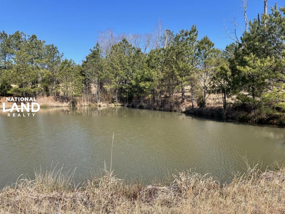 19 acres in Lamar County, Alabama