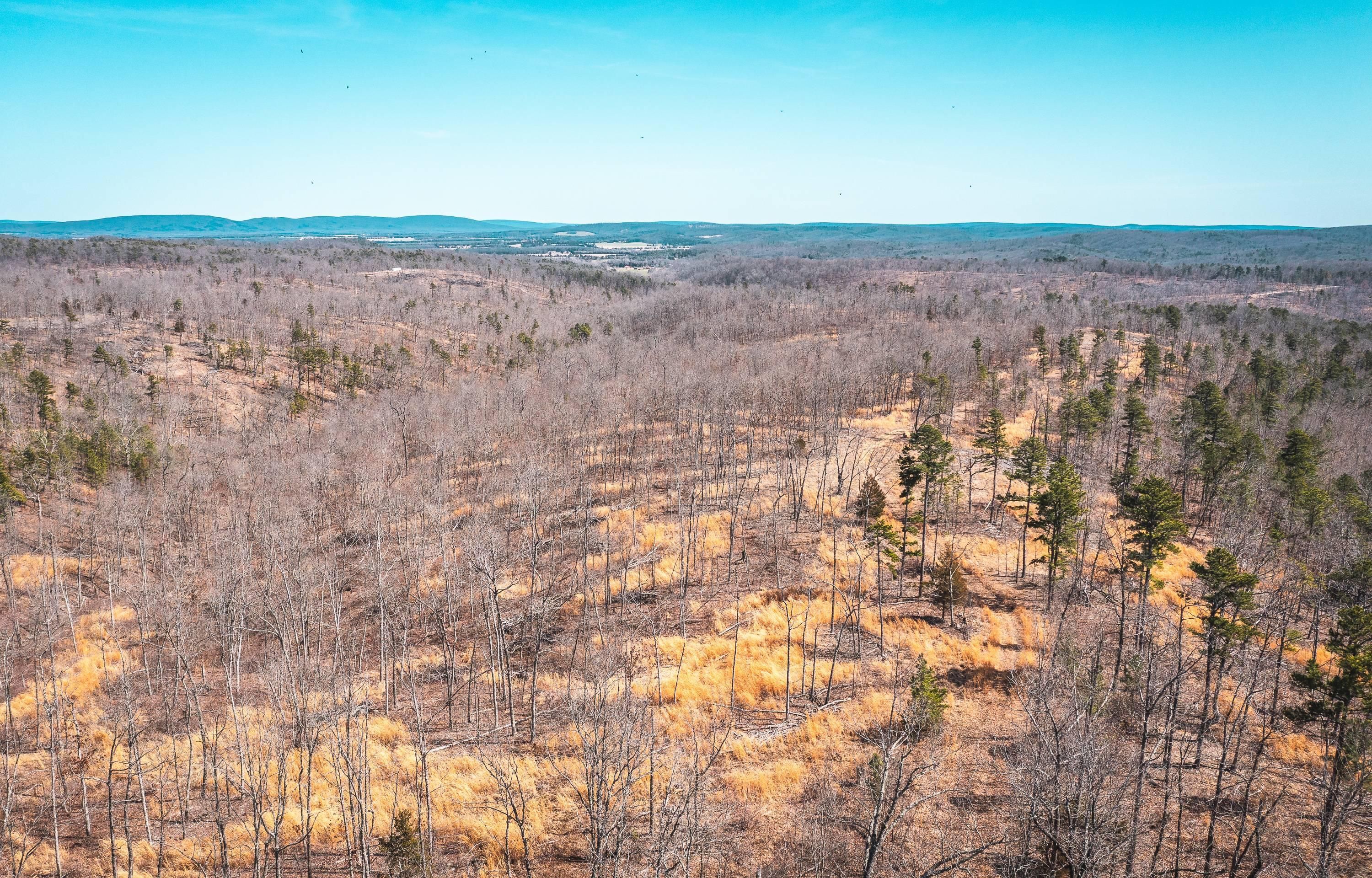 28 acres in Iron County, Missouri