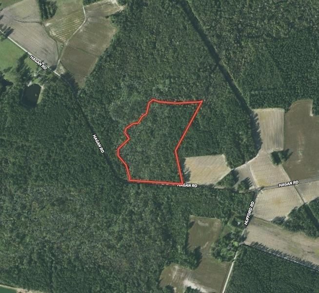 24 acres in Horry County, South Carolina