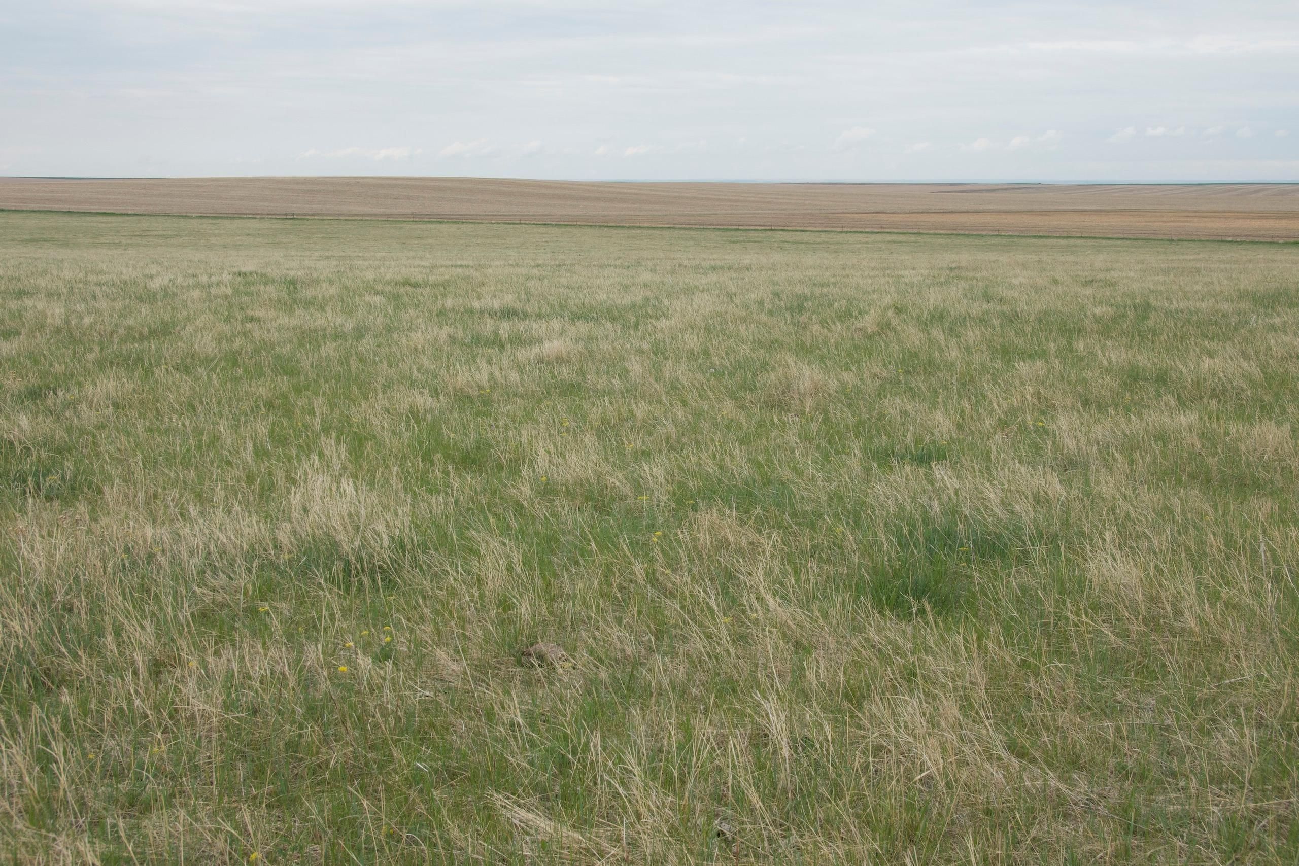 140 acres in Stanley County, South Dakota