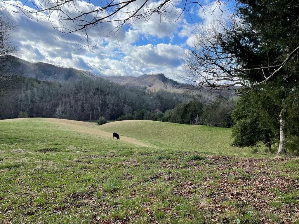 17.4 acres in Sevier County, Tennessee