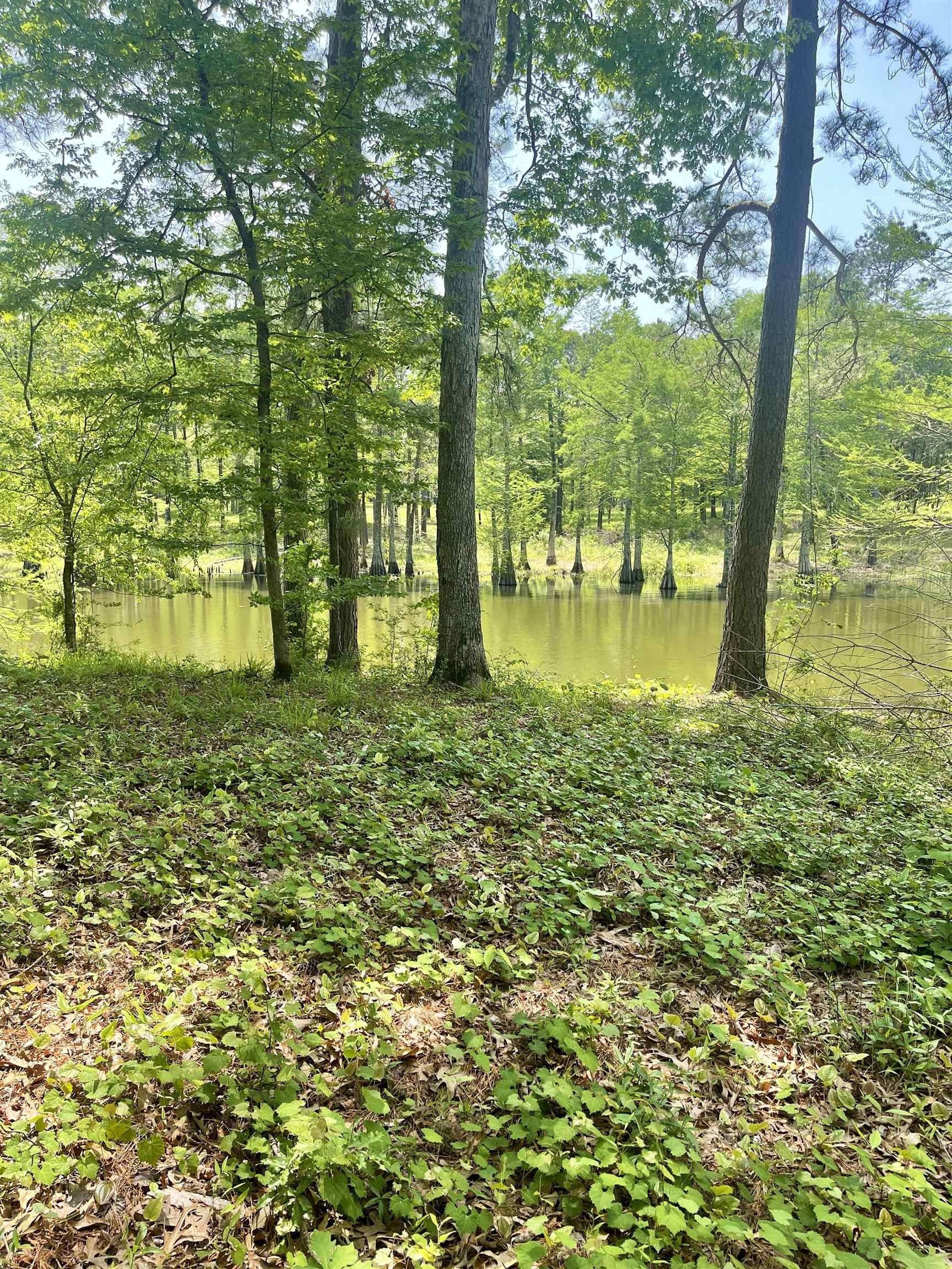 1.09 acres in Sabine County, Texas