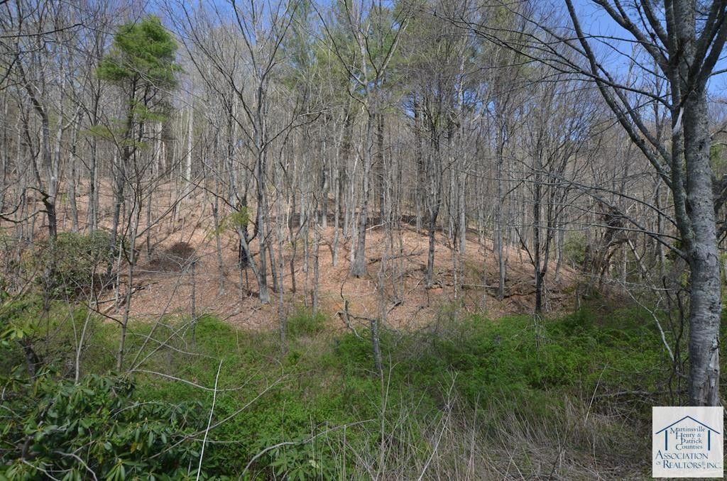 7 acres in Patrick County, Virginia