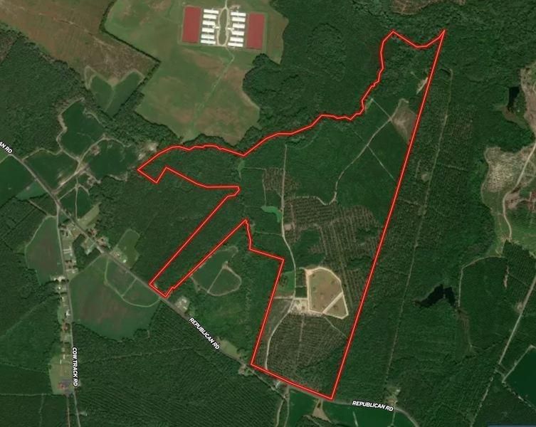 275 acres in Bertie County, North Carolina