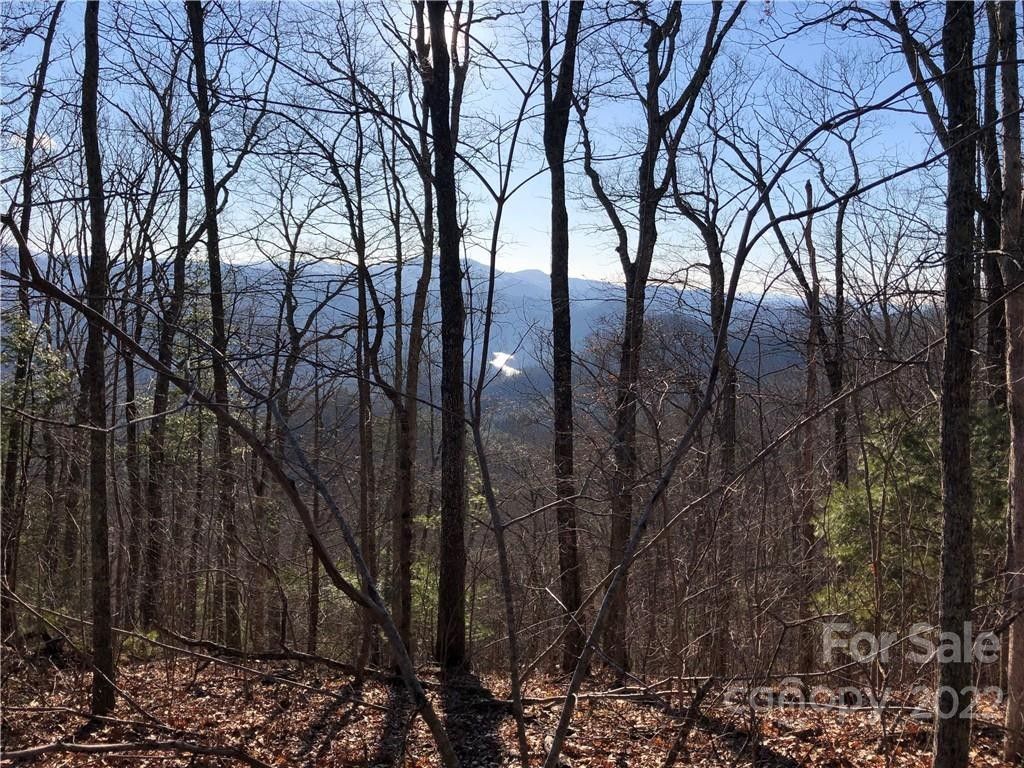 39.88 acres in Madison County, North Carolina