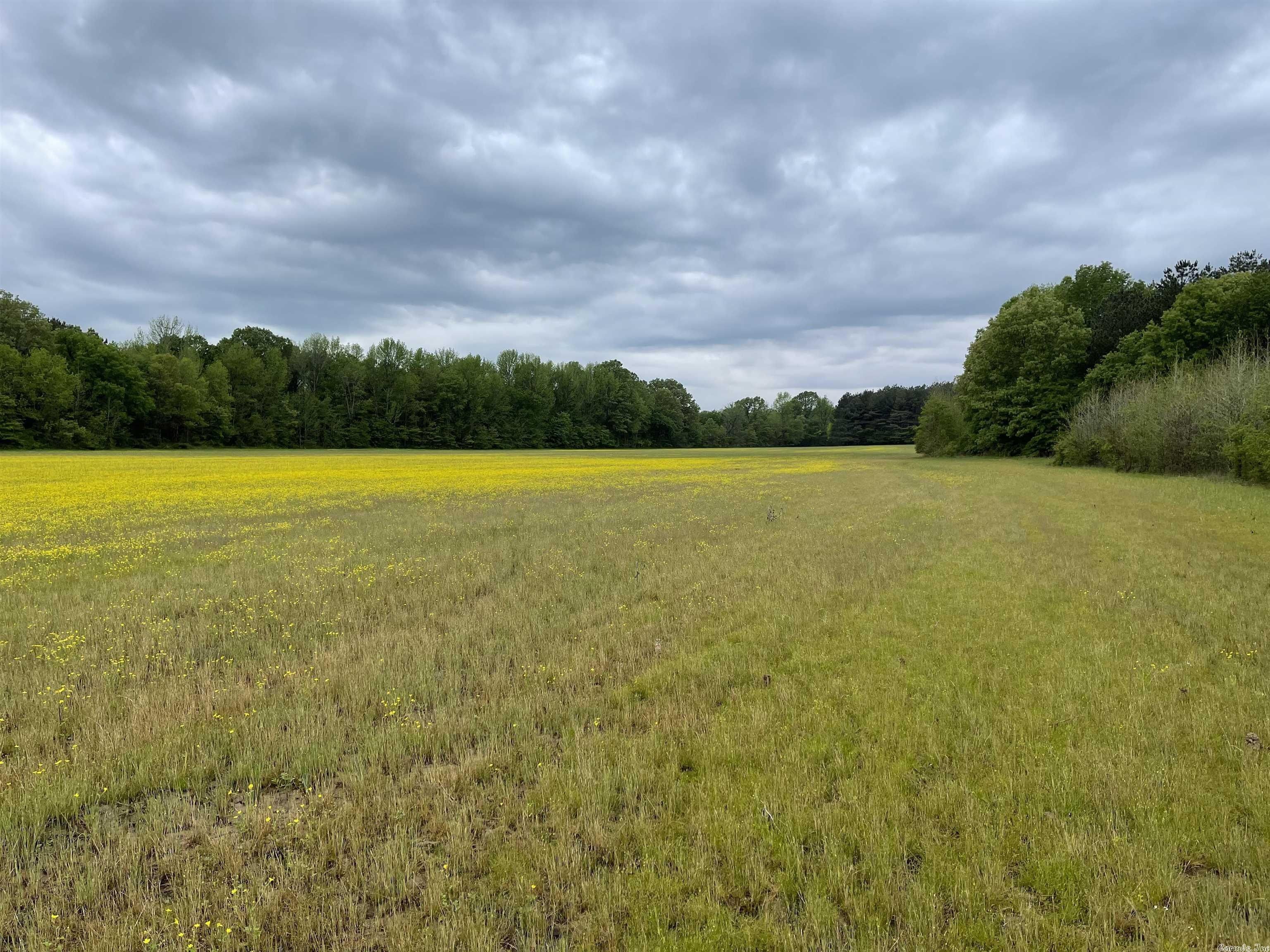 180 acres in Clay County, Arkansas