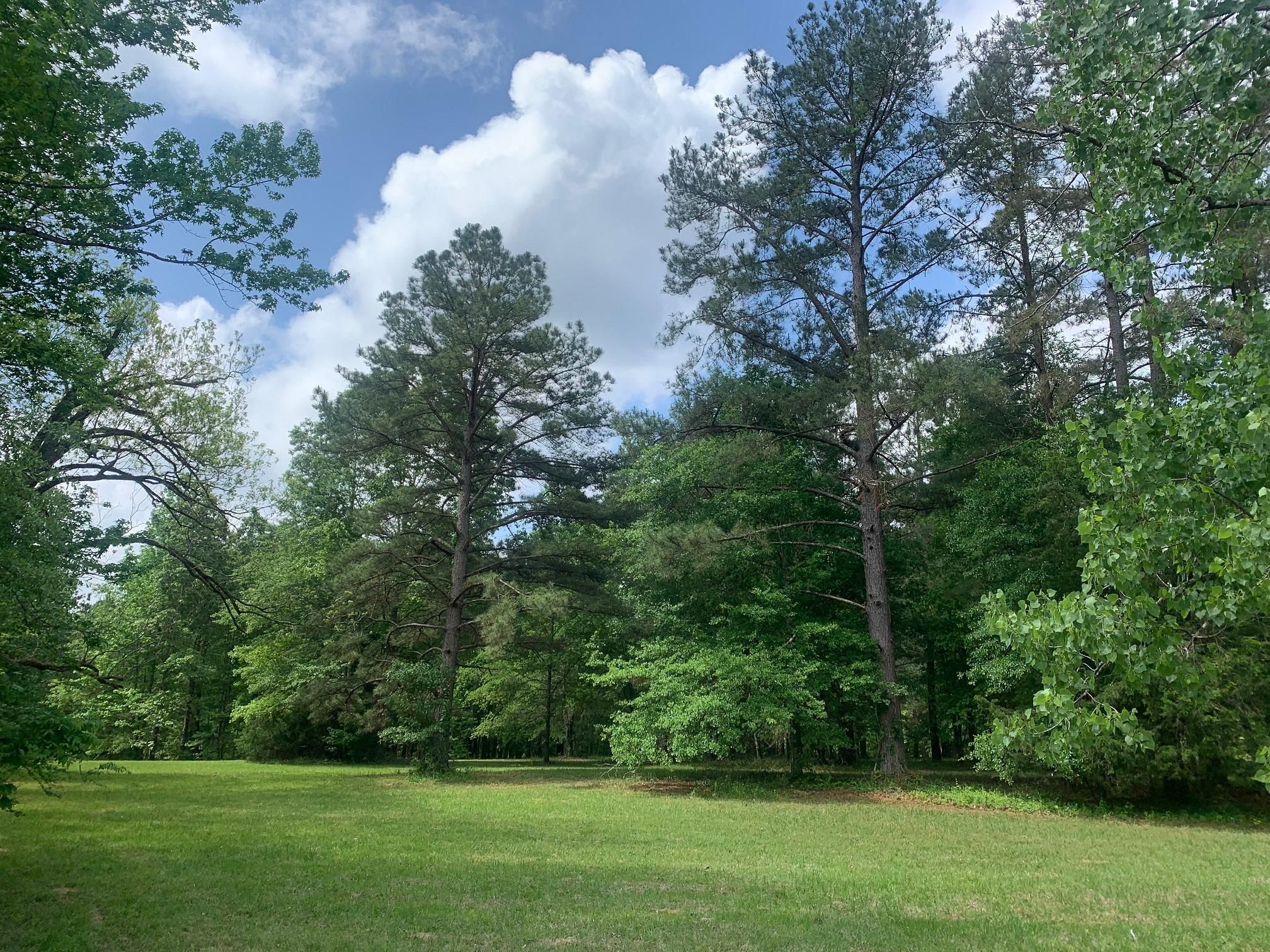 43 acres in Warren County, Mississippi