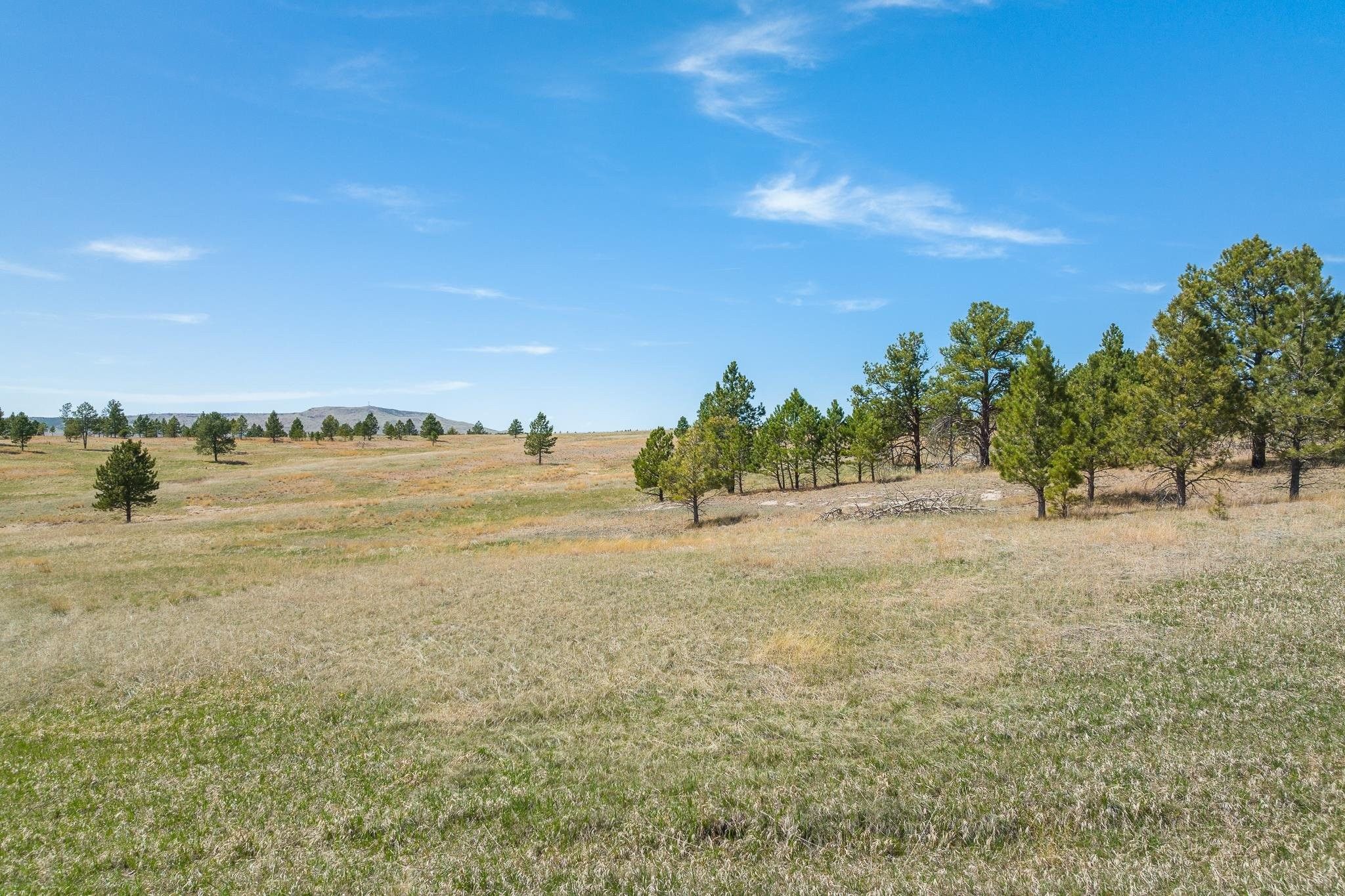 20 acres in Custer County, South Dakota