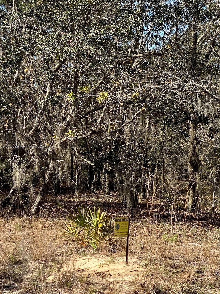 40 acres in Polk County, Florida
