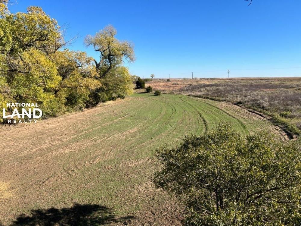 463 acres in Ellis County, Oklahoma