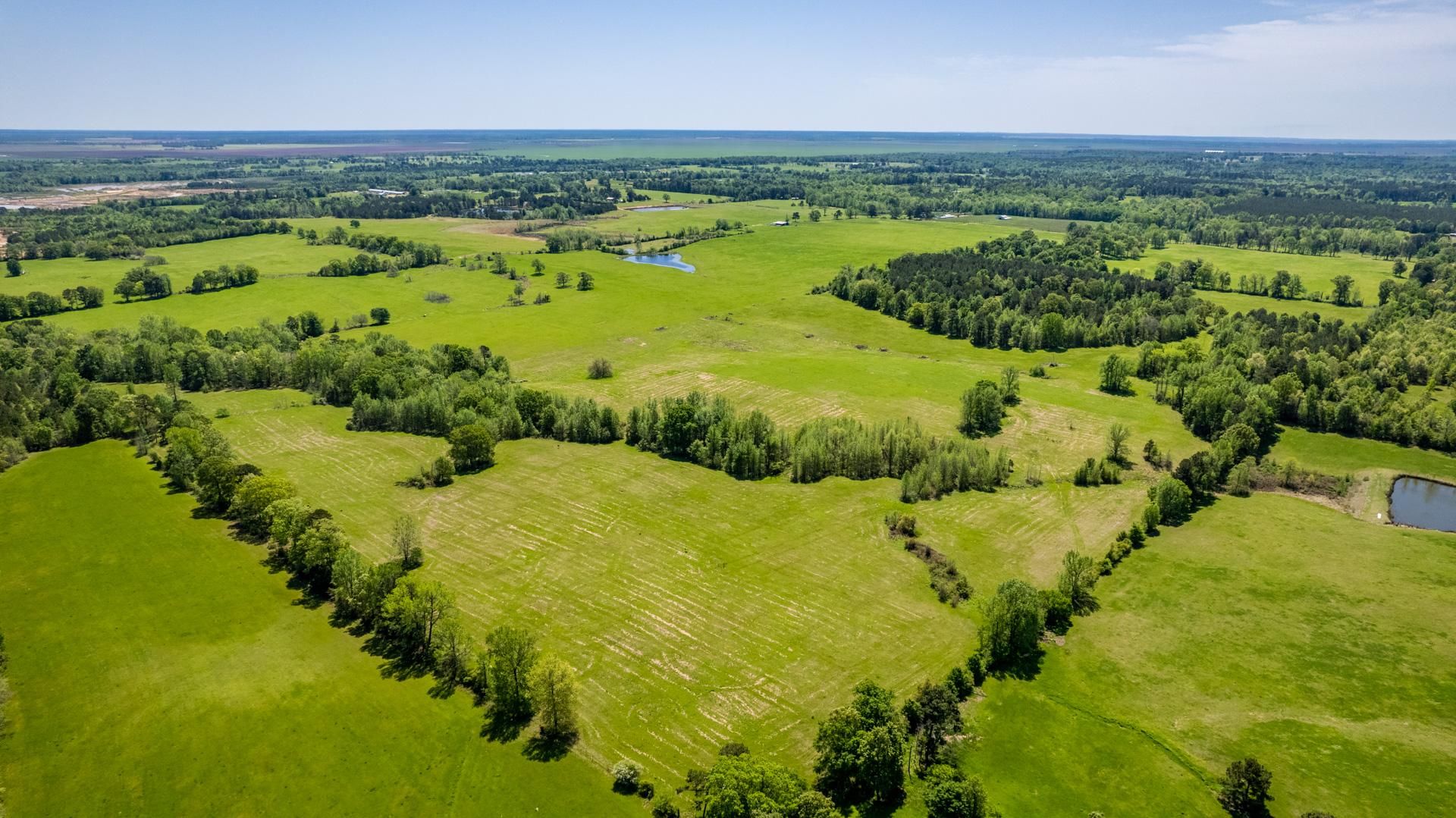 475 acres in Miller County, Arkansas