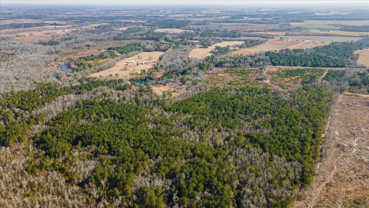 168.5 acres in Marlboro County, South Carolina