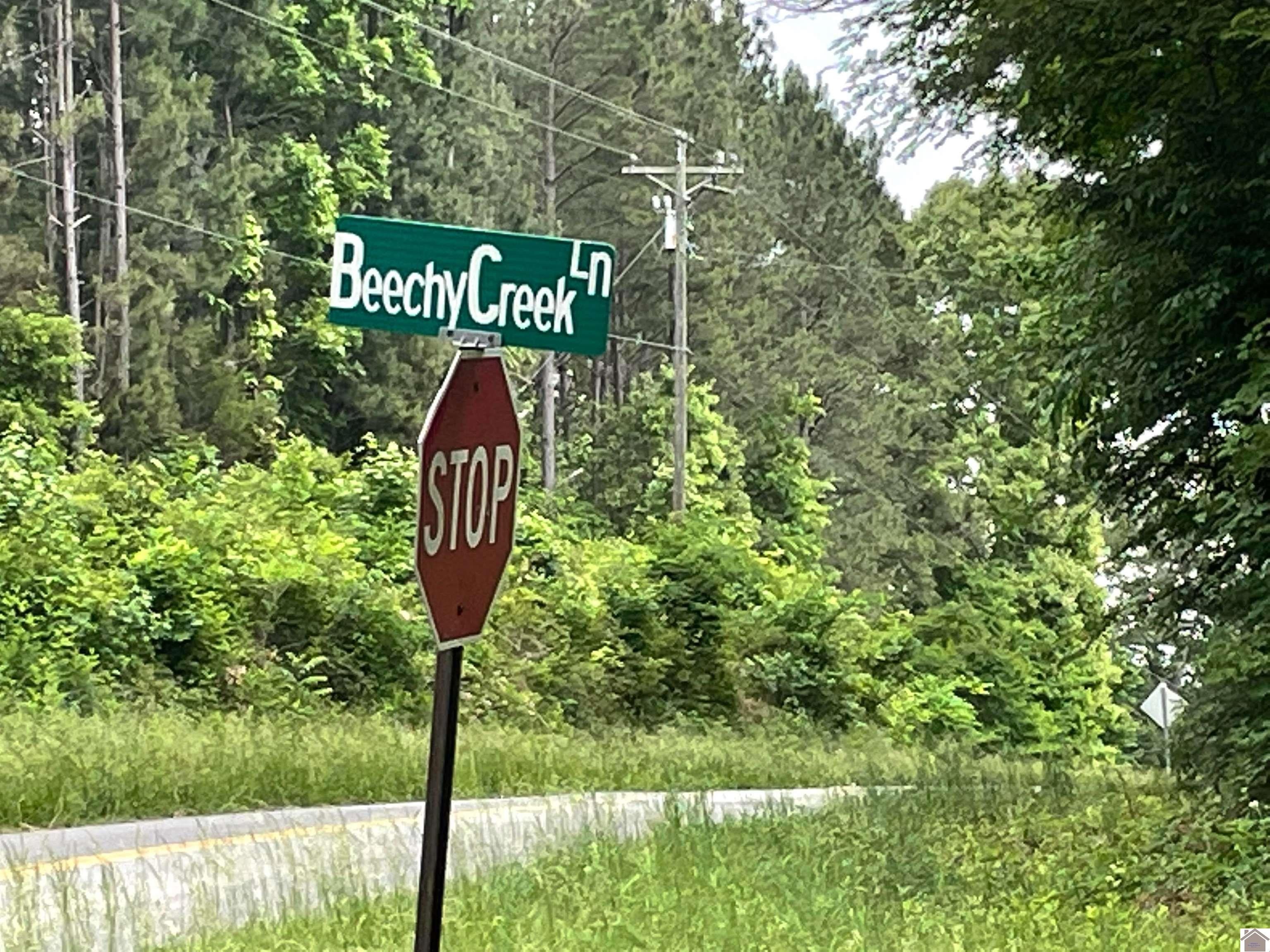 43 acres in Calloway County, Kentucky