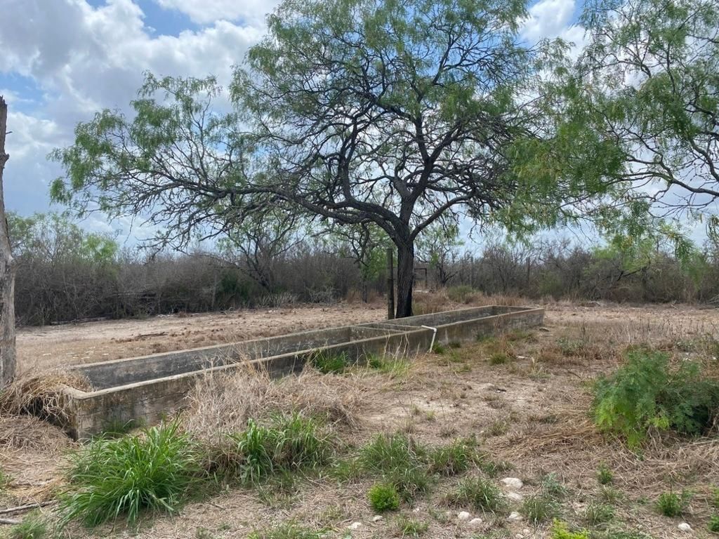 10.3 acres in Duval County, Texas