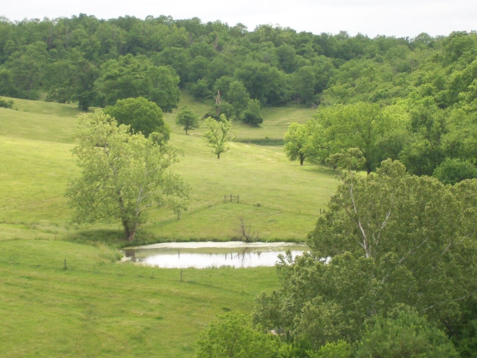 95.66 acres in Jessamine County, Kentucky