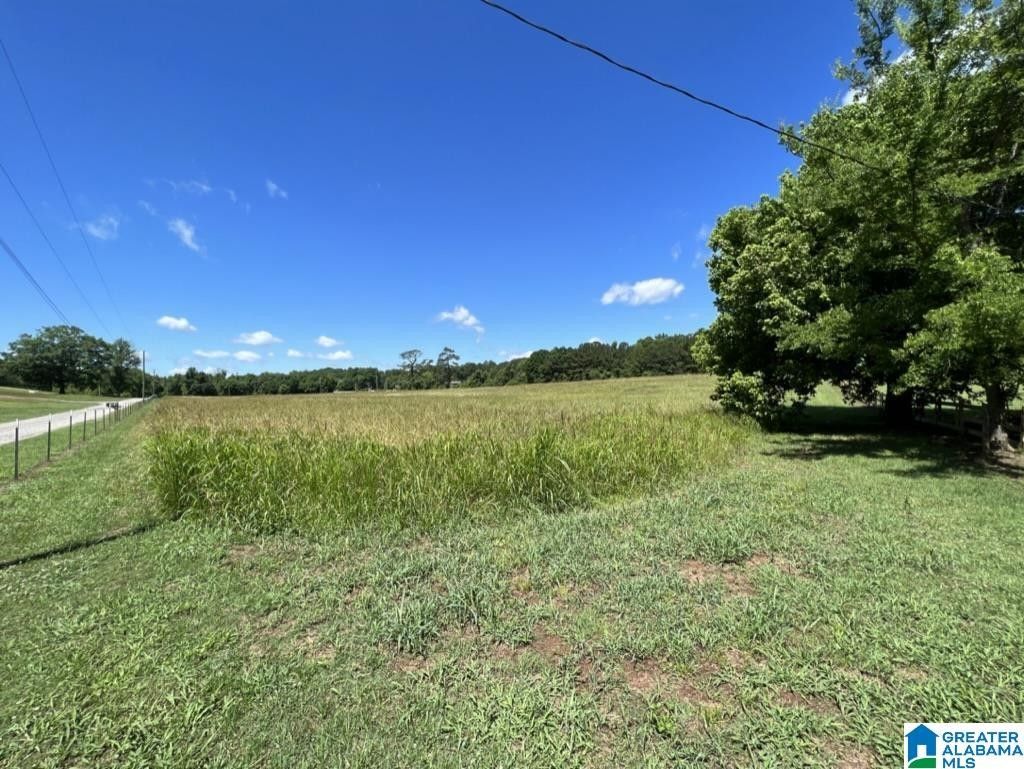 3.7 acres in Tuscaloosa County, Alabama