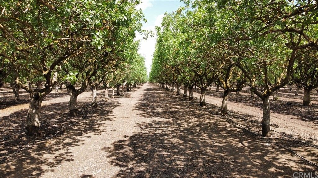 19.65 acres in Madera County, California