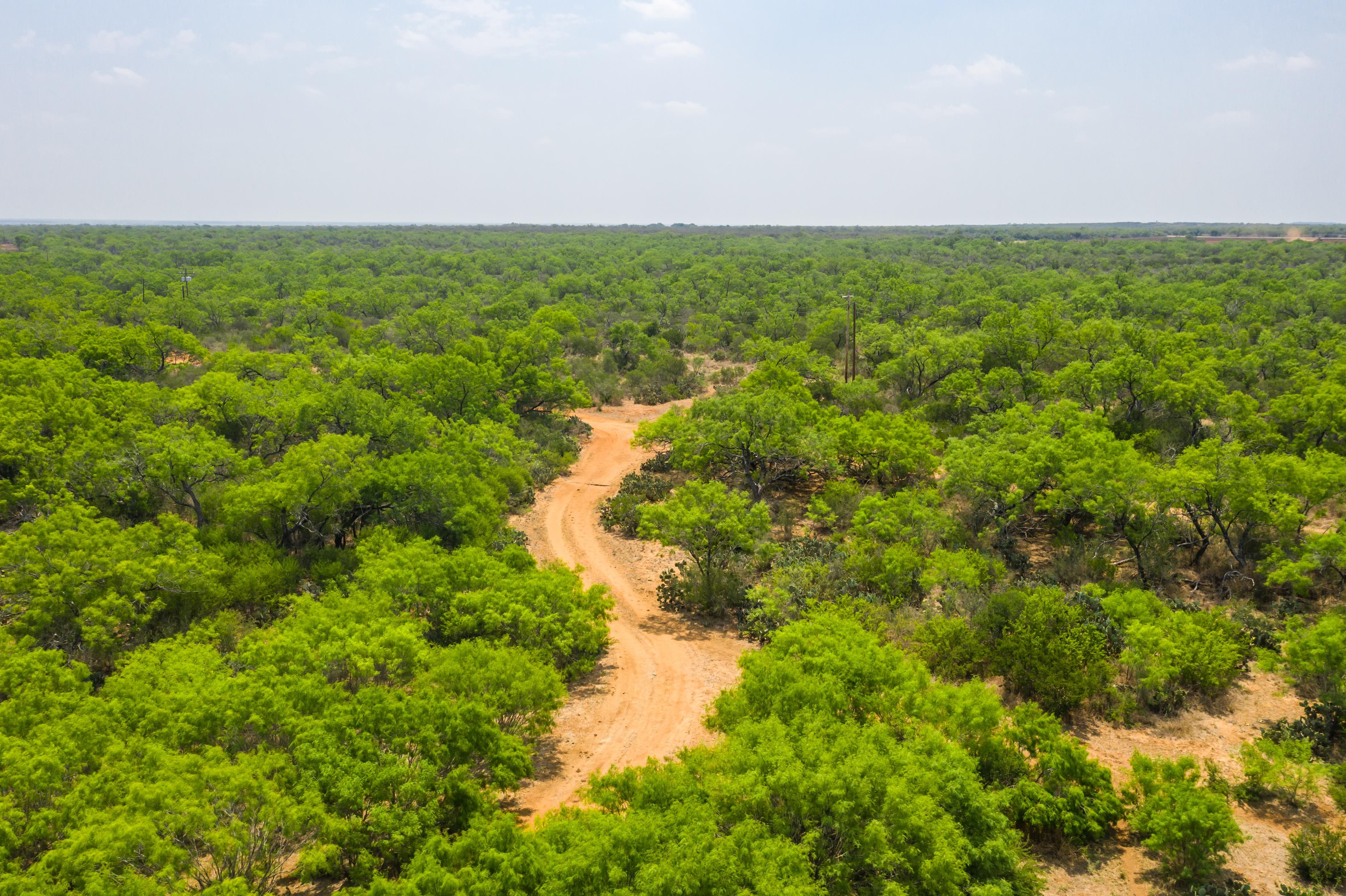 Atascosa County Recent Arrests - 9pz4852