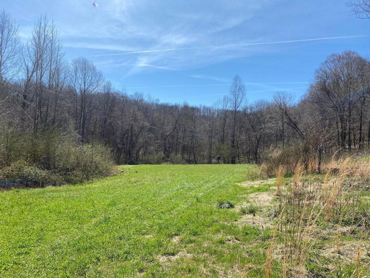 240 acres in Franklin County, Alabama
