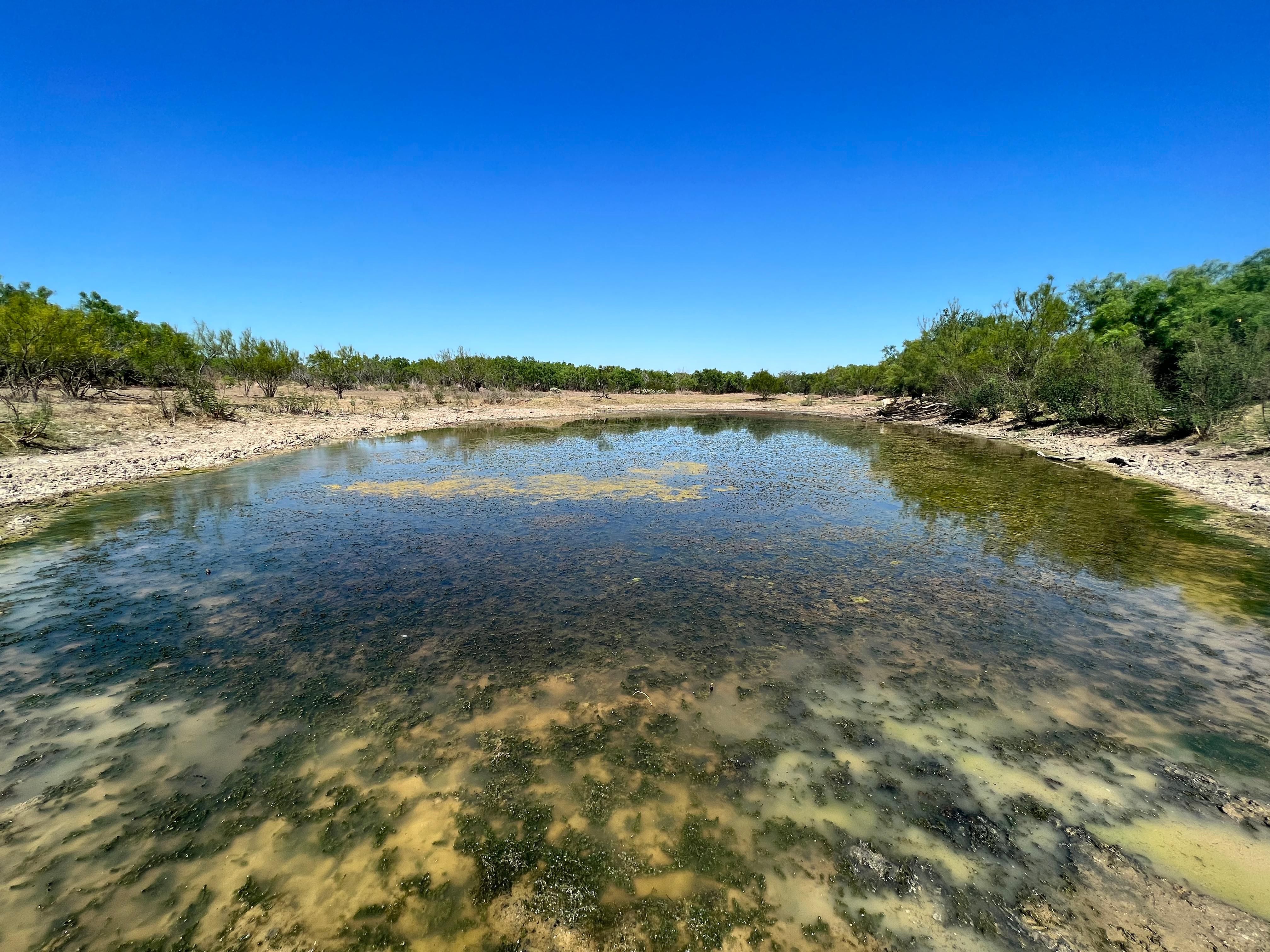 1,903 acres in Frio County, Texas