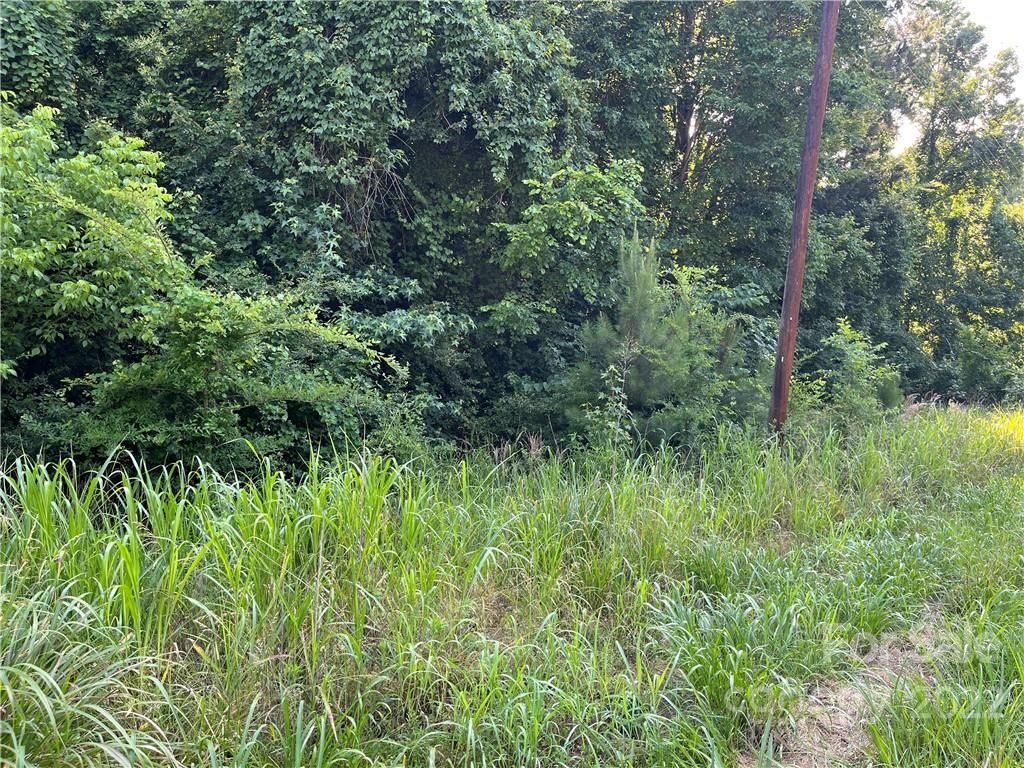 0.32 acres in Mecklenburg County, North Carolina