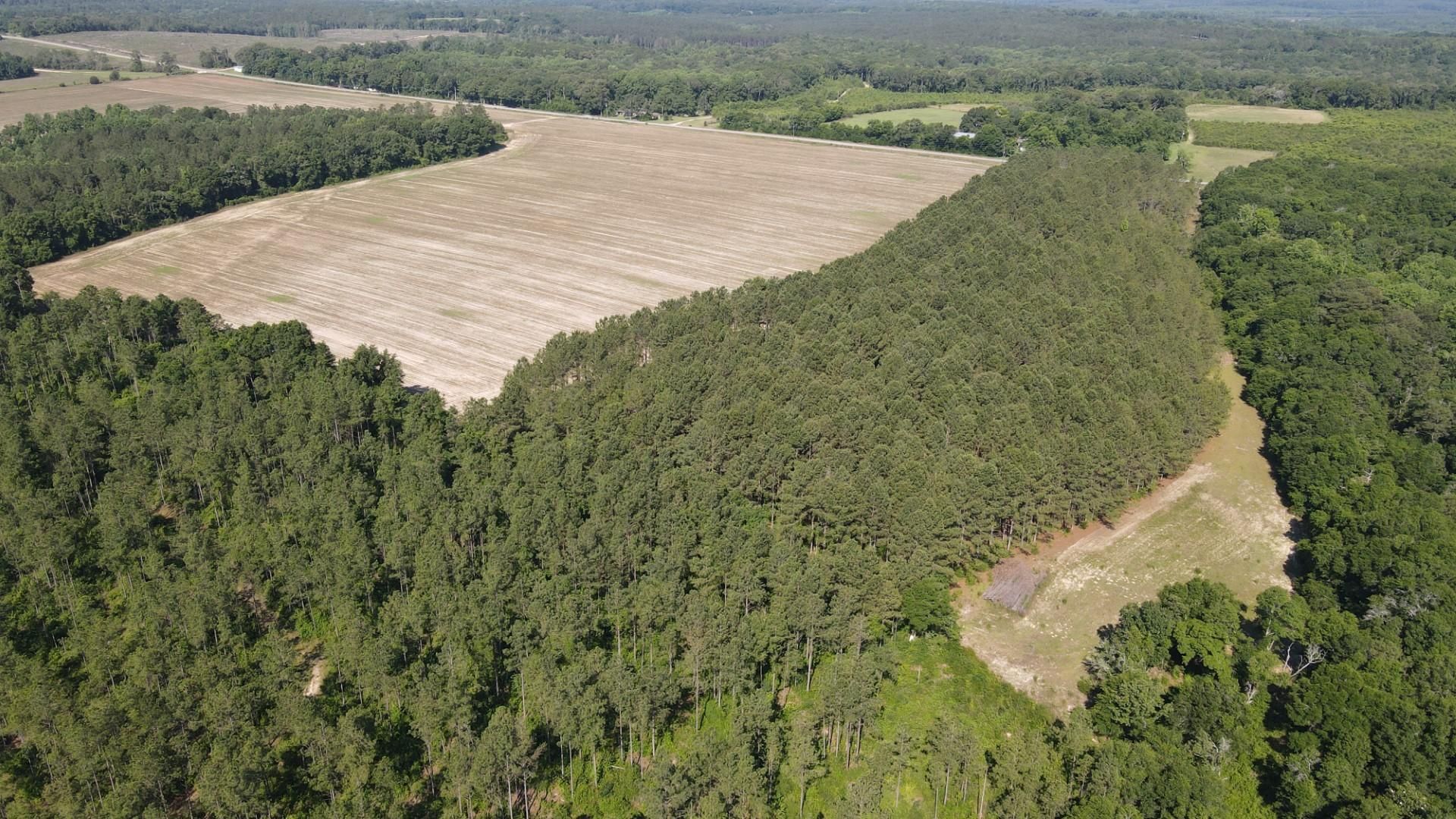 100 acres in Dale County, Alabama