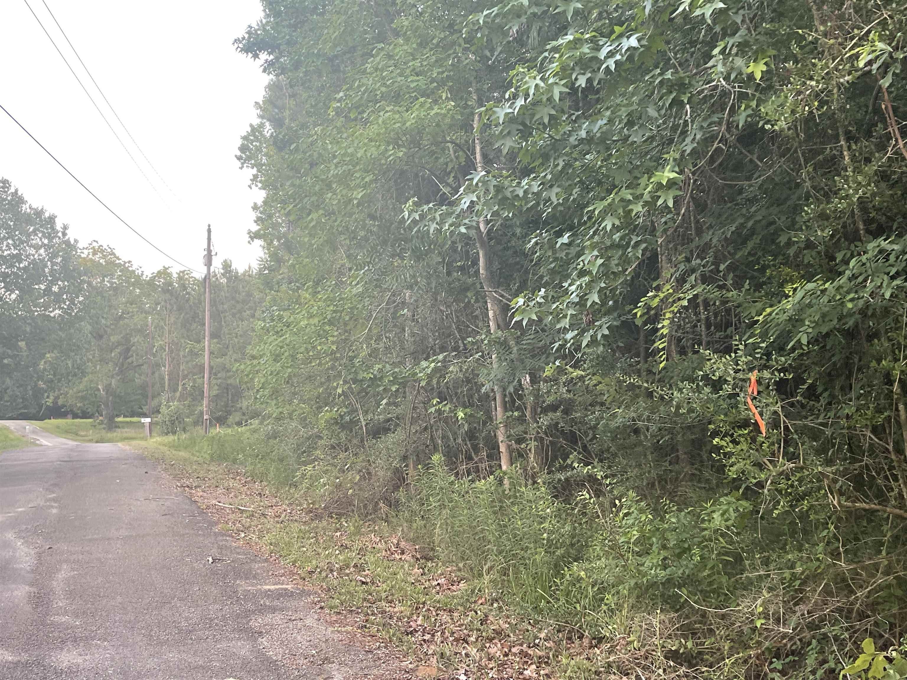 1.66 acres in Sabine County, Texas