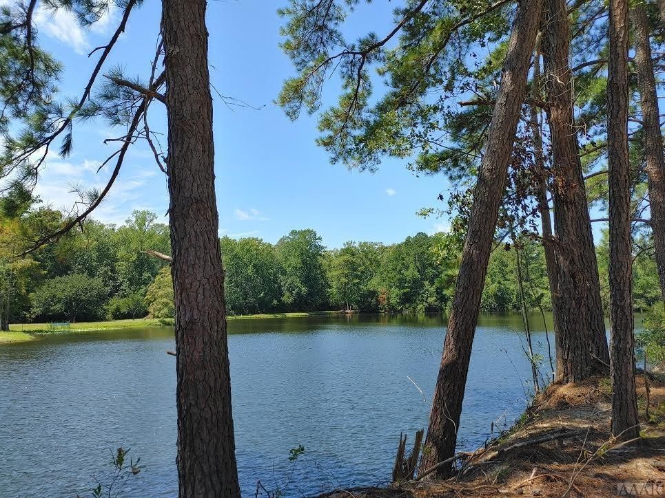 12 acres in Pasquotank County, North Carolina