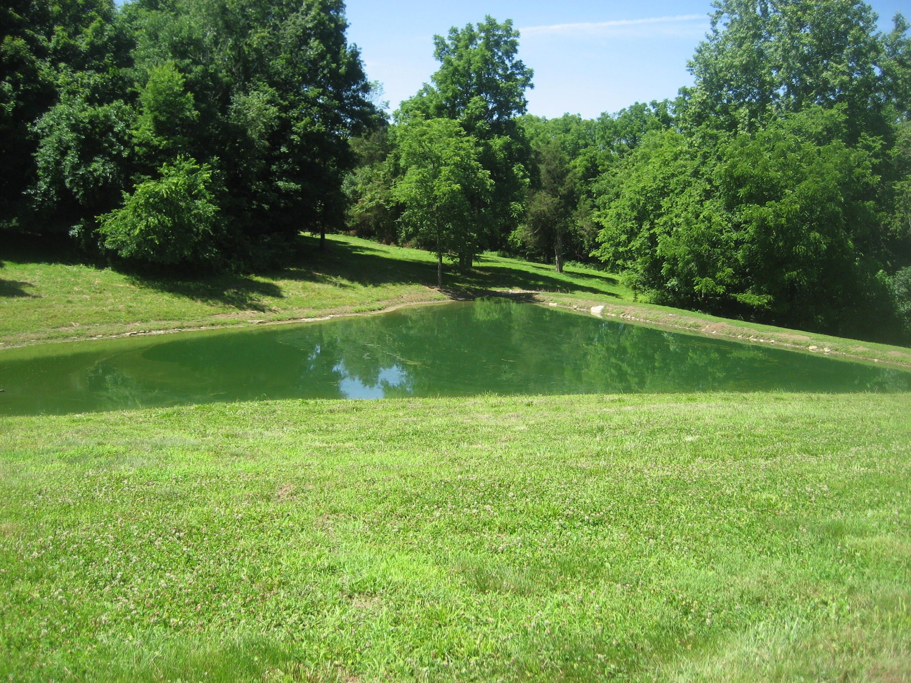 87 acres in Shelby County, Kentucky