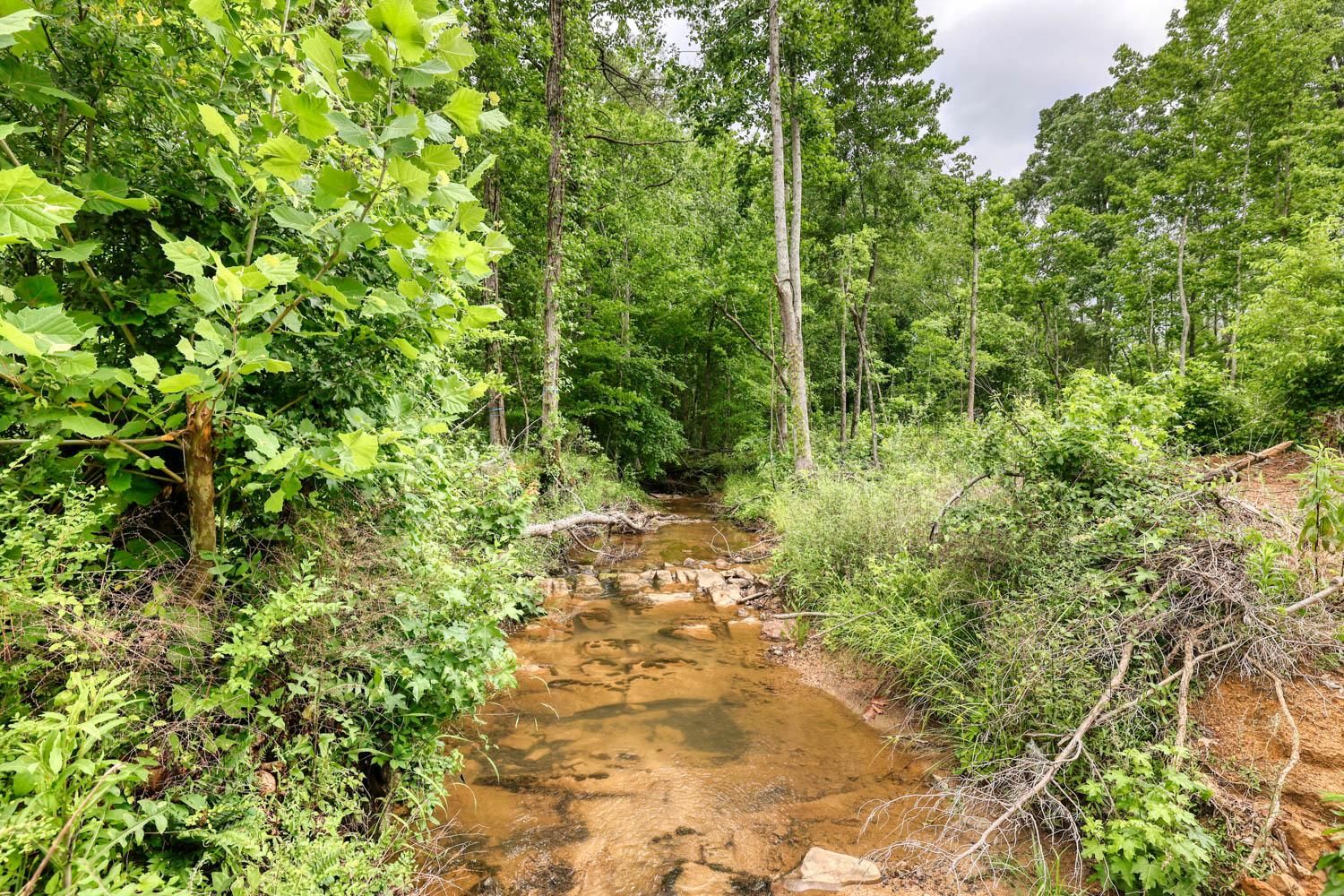 31.85 acres in Chattooga County,