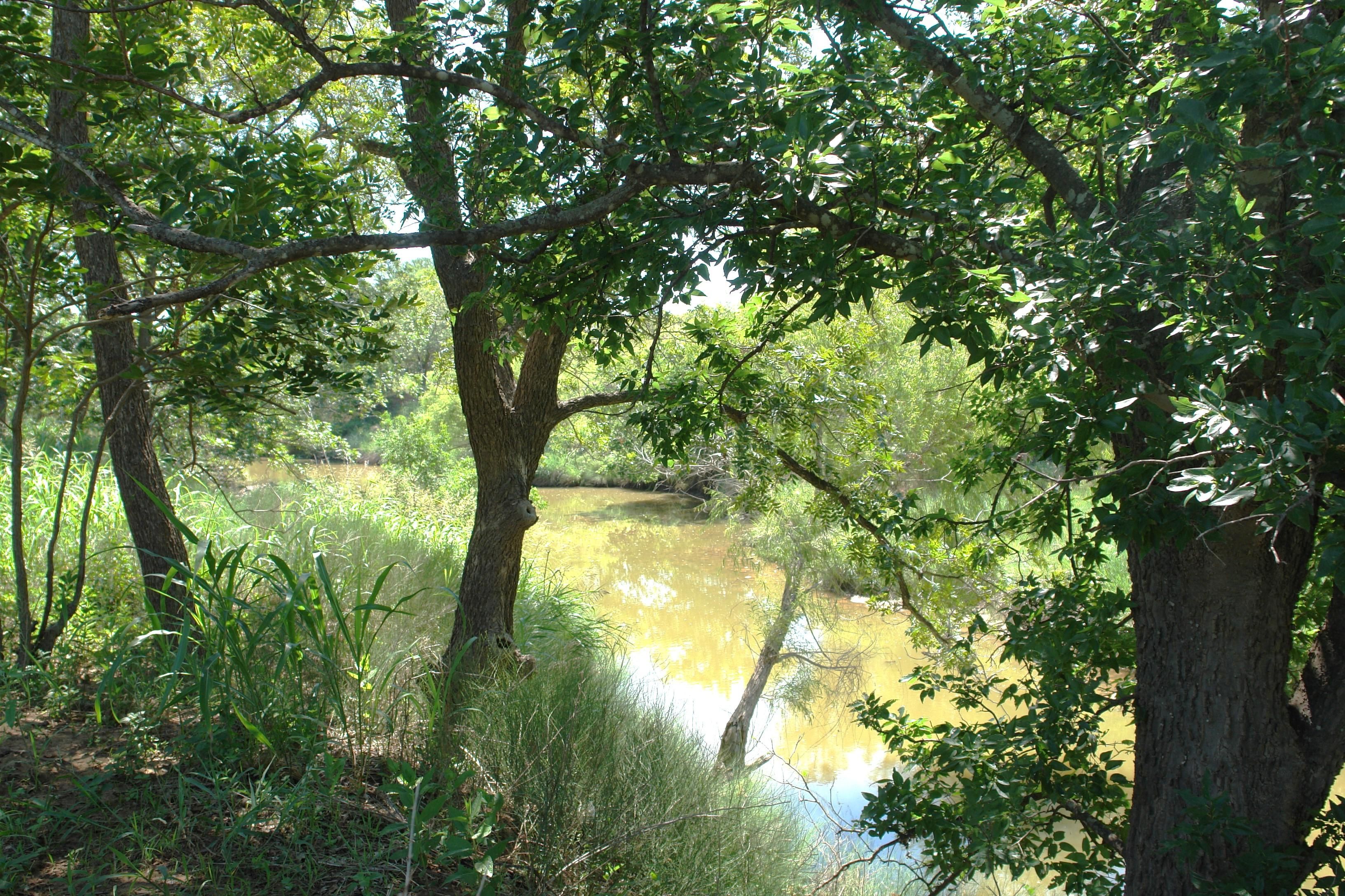 163.48 acres in Mills County, Texas