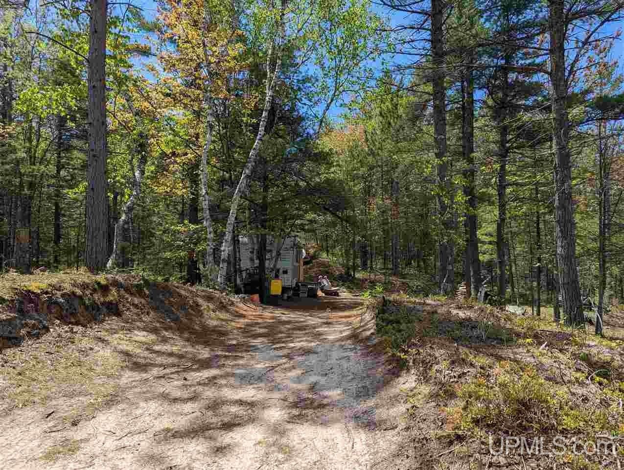 41.88 acres in Schoolcraft County, Michigan