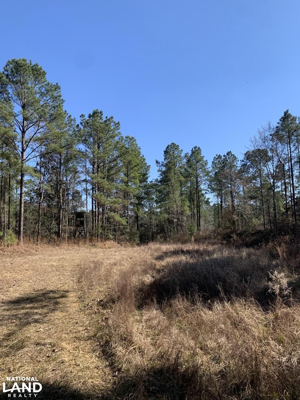 70 acres in West Feliciana Parish, Louisiana