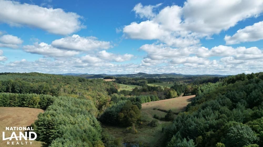 49 acres in Alleghany County, North Carolina