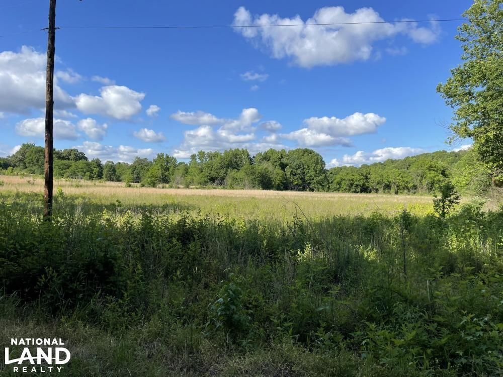 119 acres in Yalobusha County, Mississippi